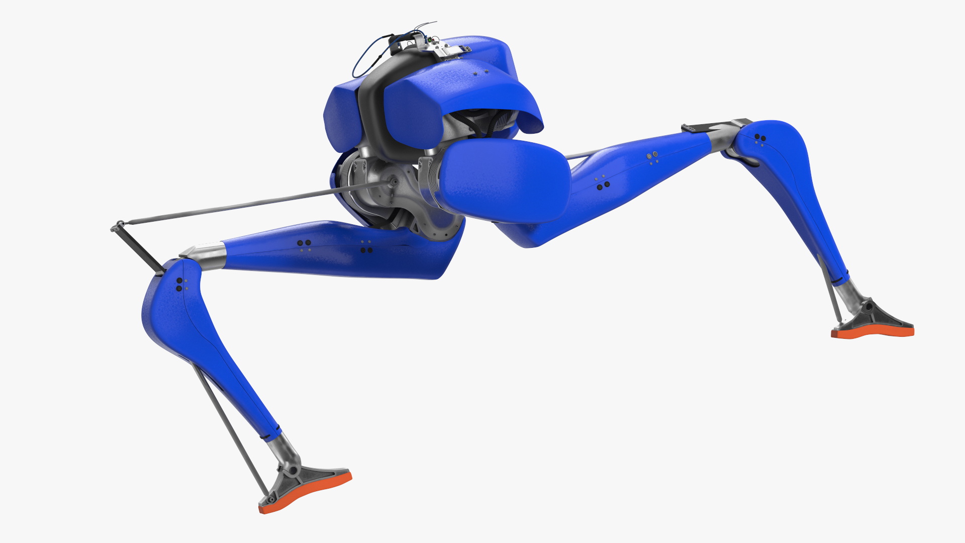 3D Cassie Robot Blue Rigged for Maya model