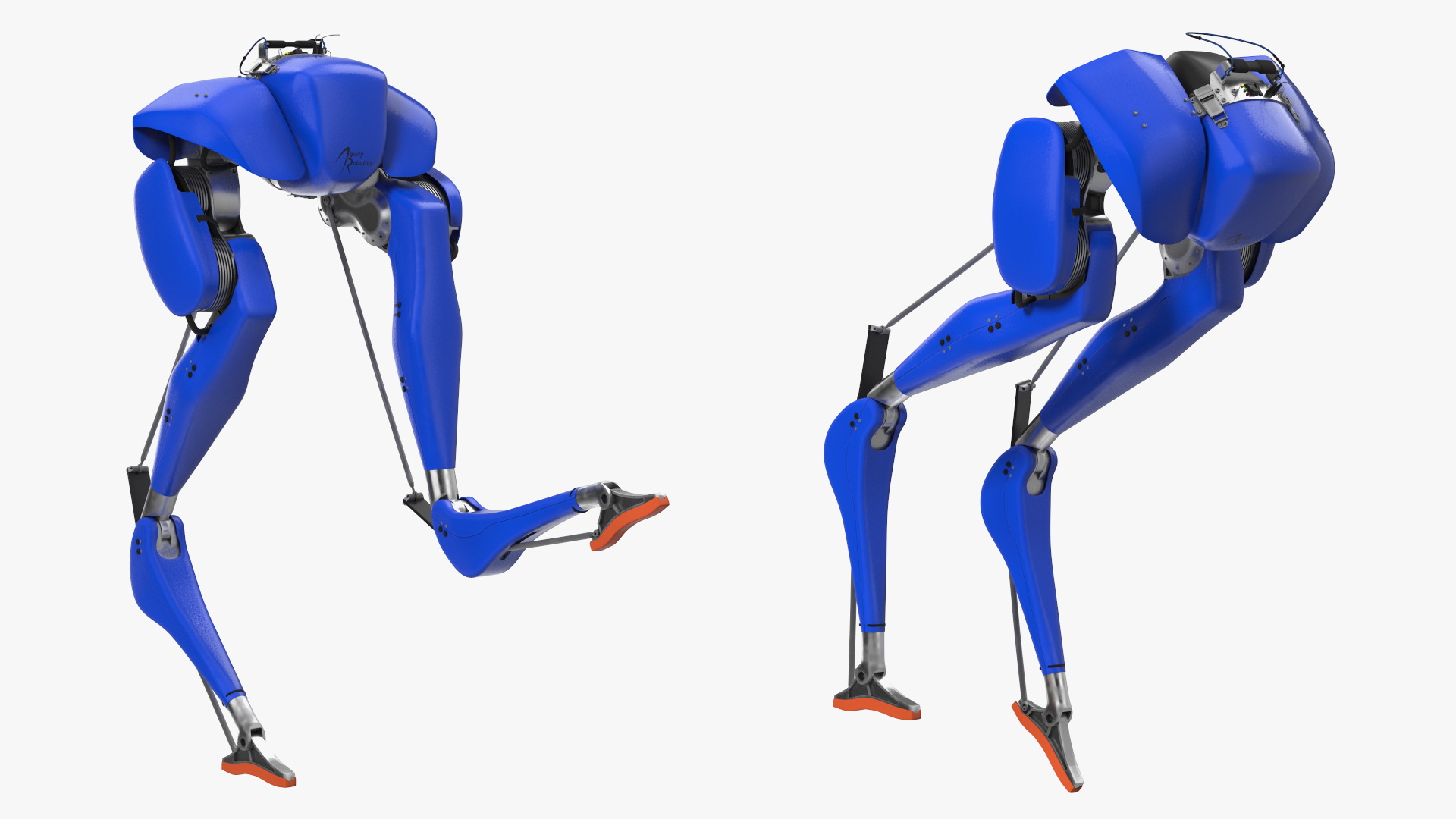 3D Cassie Robot Blue Rigged for Maya model