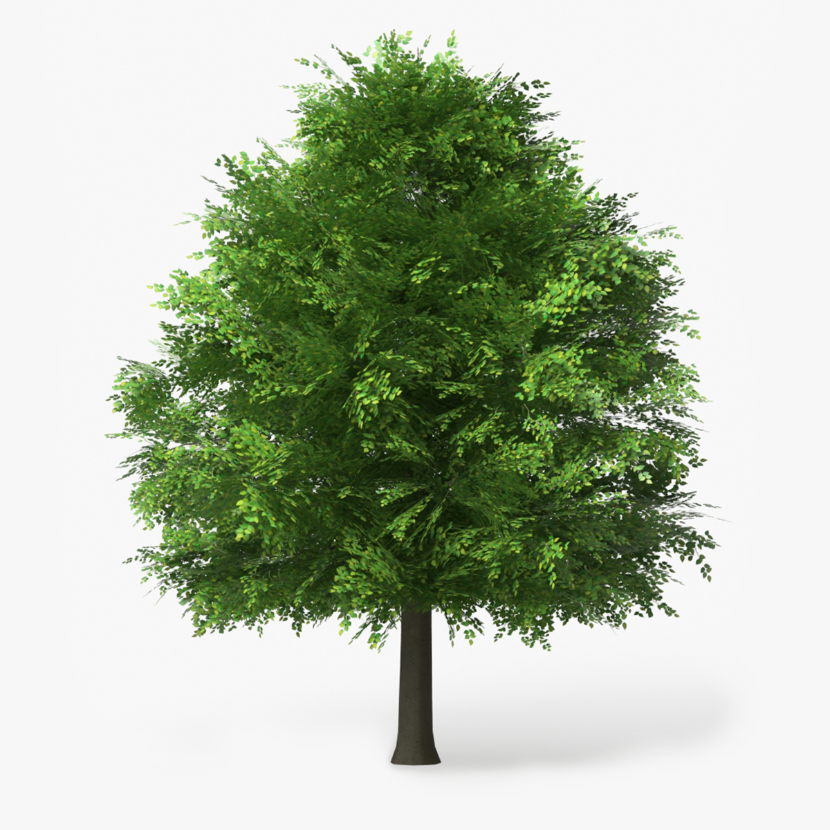 LowPoly Deciduous Leafy Tree Dense Foliage Green 3D model preview