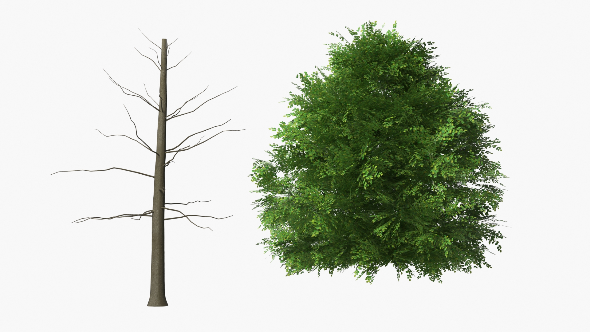 LowPoly Deciduous Leafy Tree Dense Foliage Green - view 7