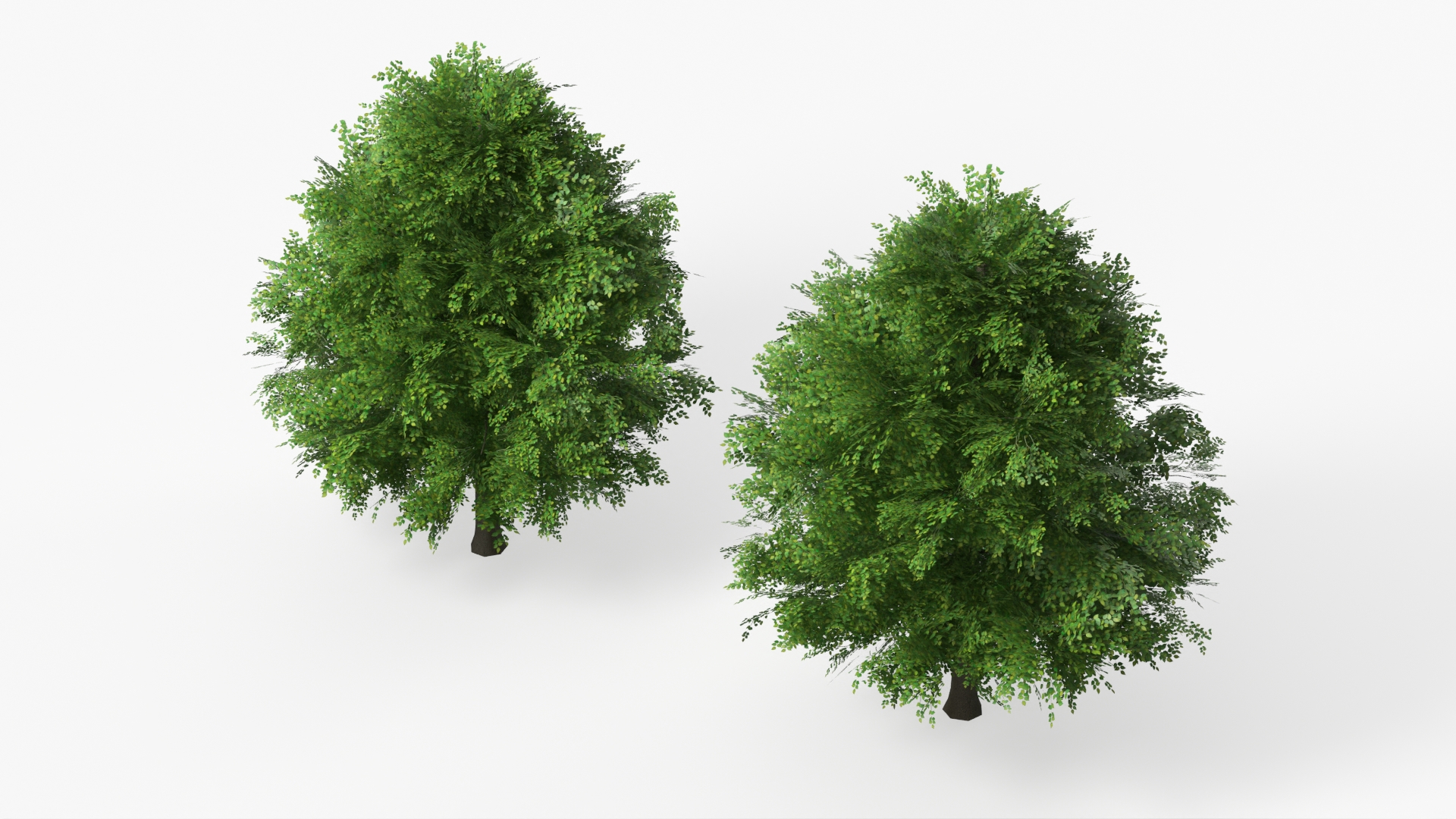 LowPoly Deciduous Leafy Tree Dense Foliage Green - view 4