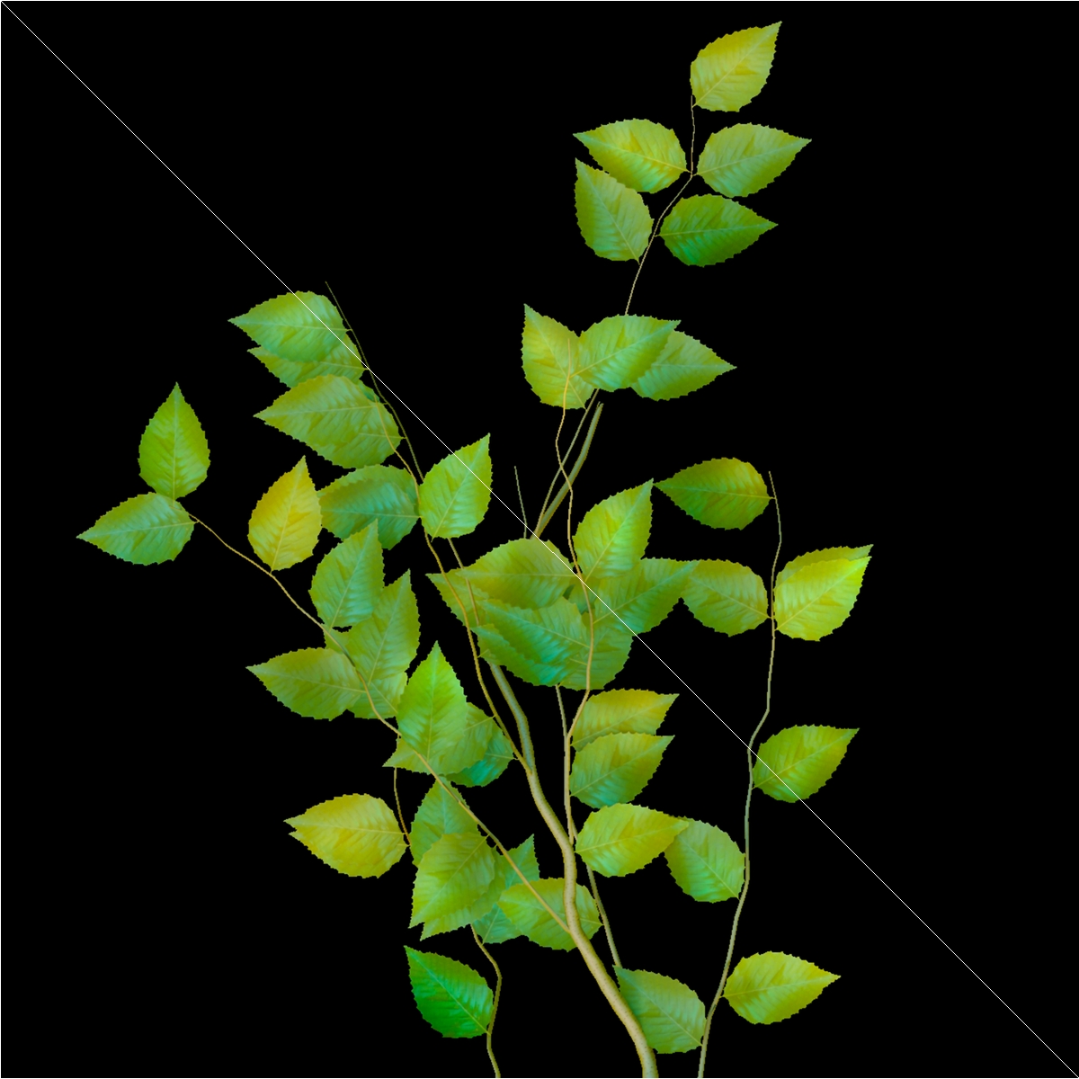 LowPoly Deciduous Leafy Tree Dense Foliage Green - view 9