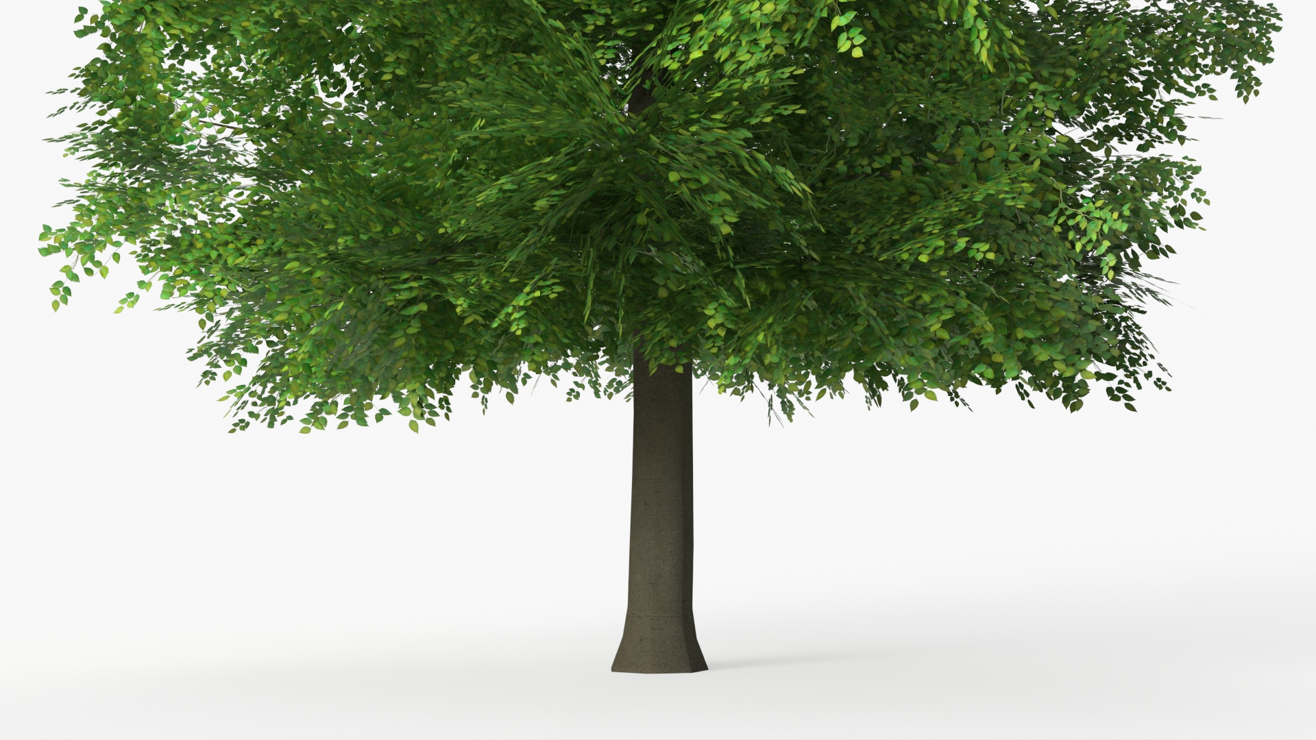 LowPoly Deciduous Leafy Tree Dense Foliage Green - view 6