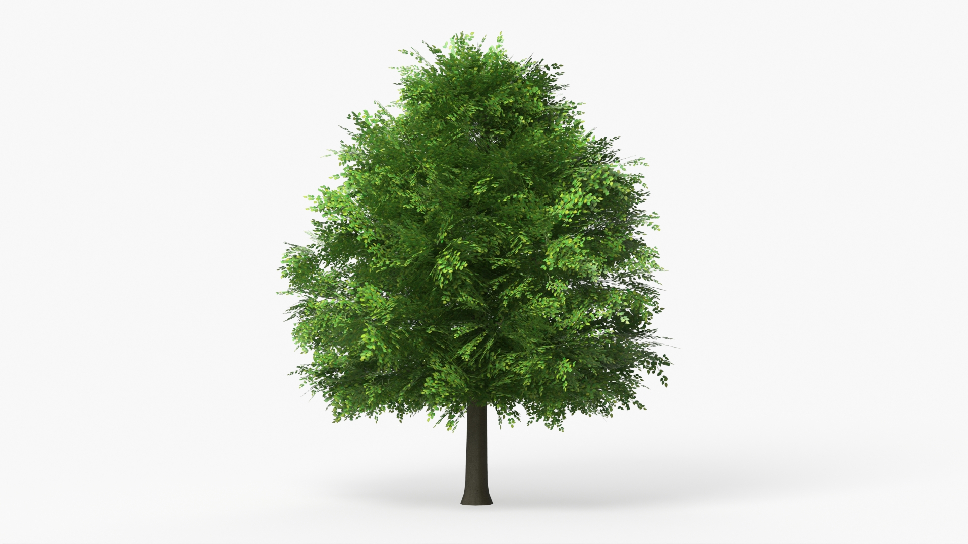 LowPoly Deciduous Leafy Tree Dense Foliage Green - view 2