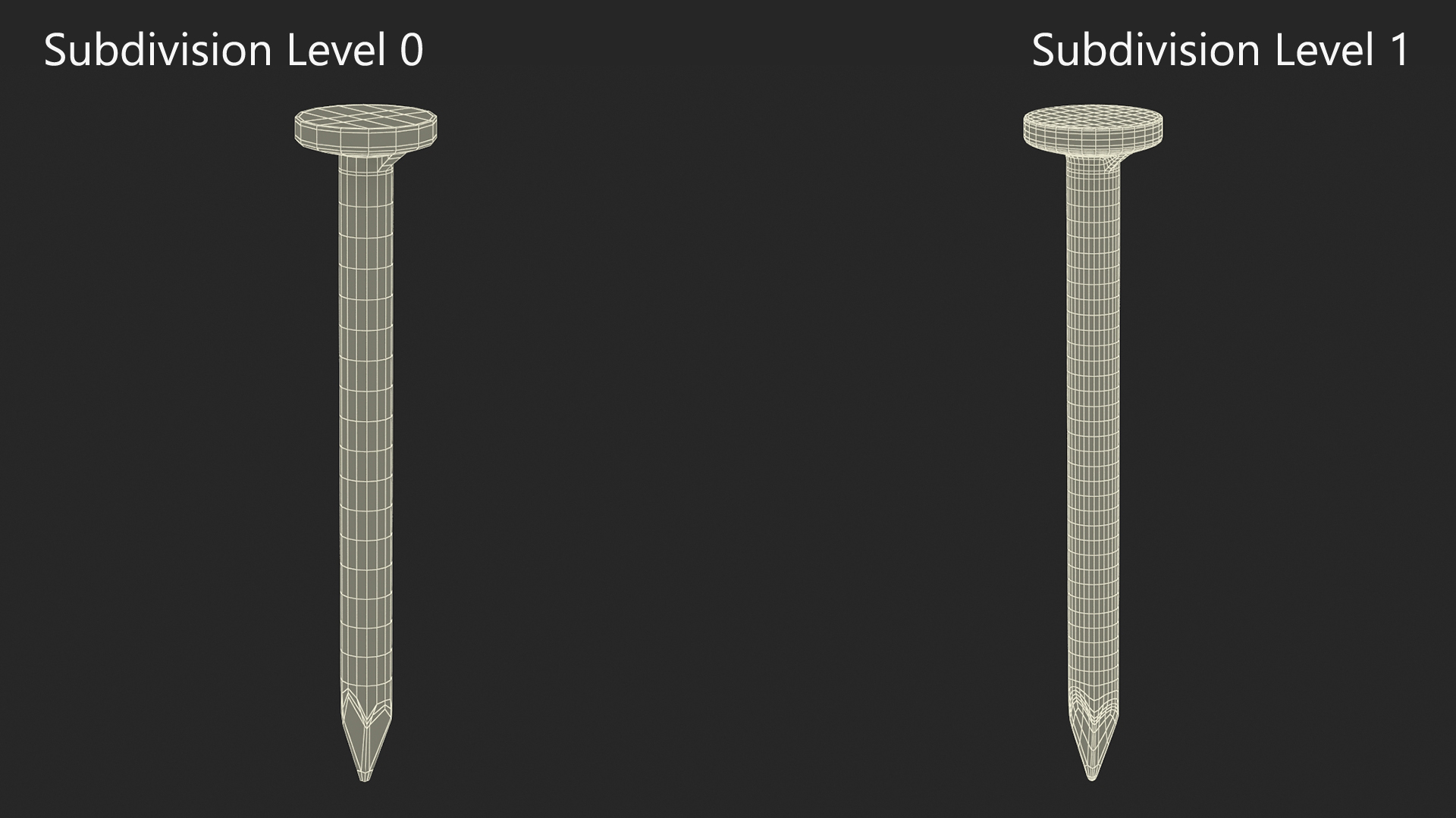 Pin Nails 3D model