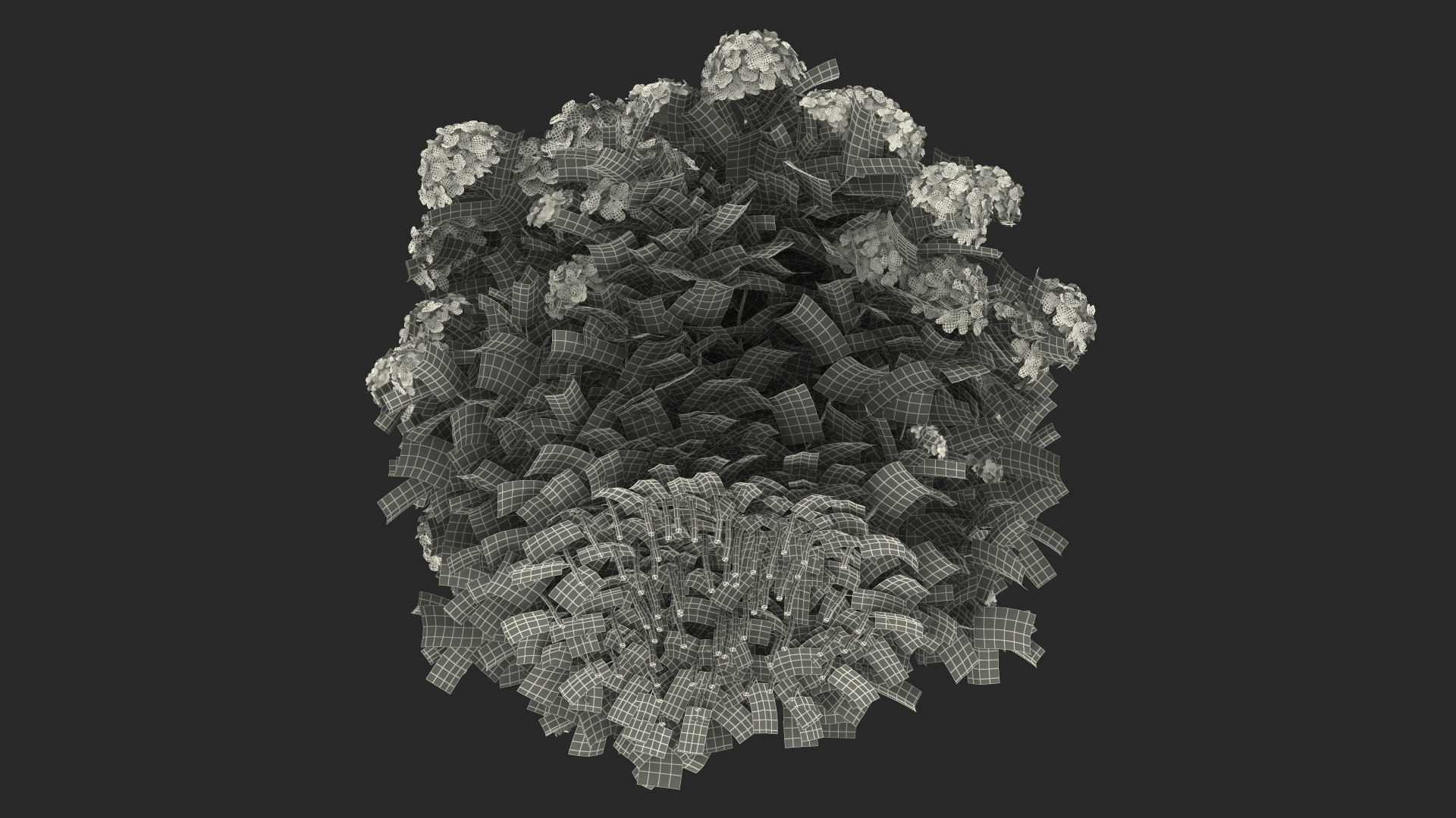 Hydrangea Macrophylla Nikko Blue Bush 3D