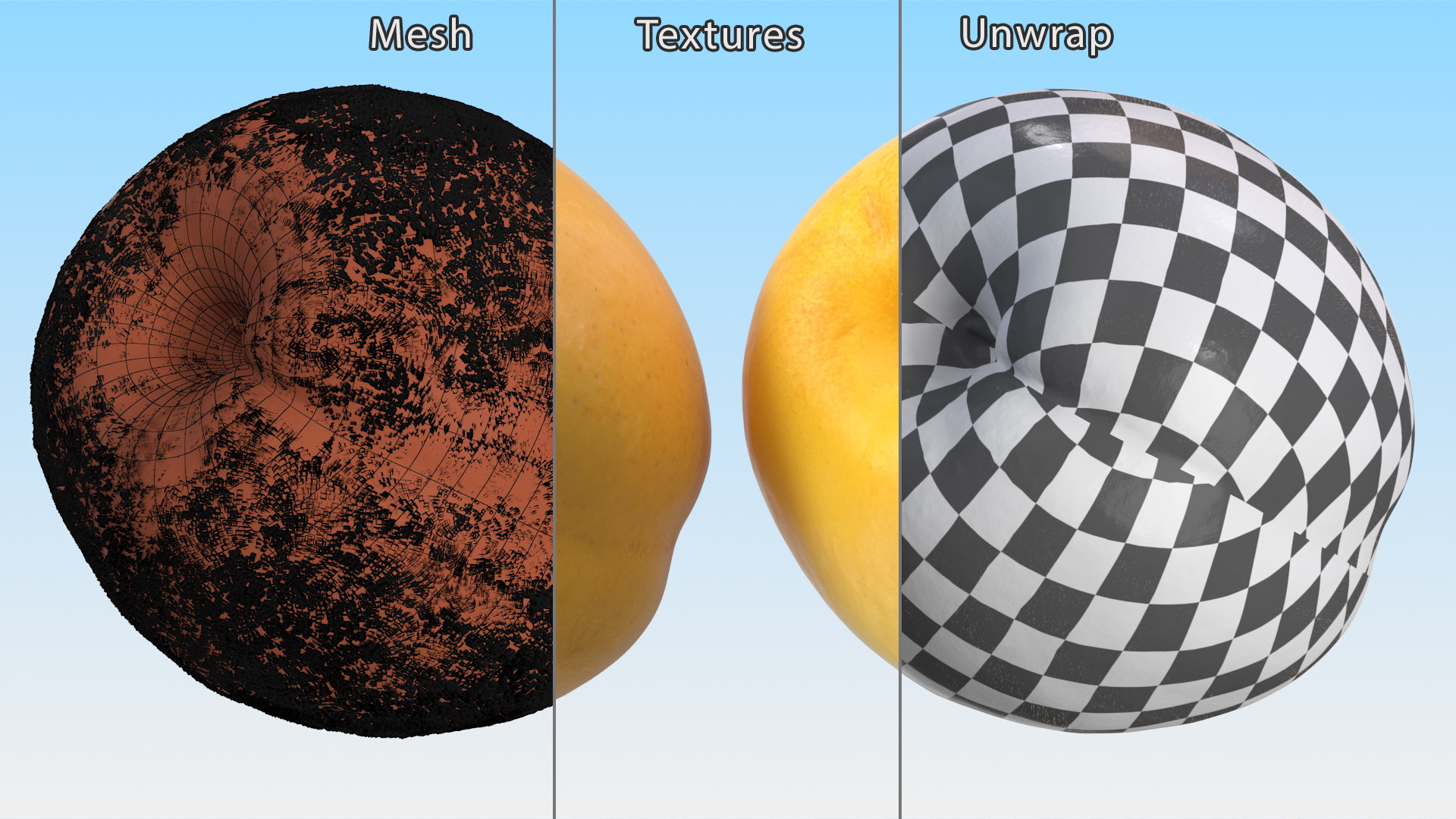 3D Yellow Apricot Fur model