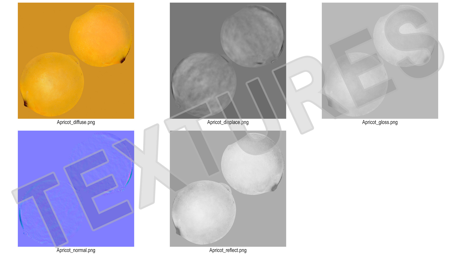 3D Yellow Apricot Fur model