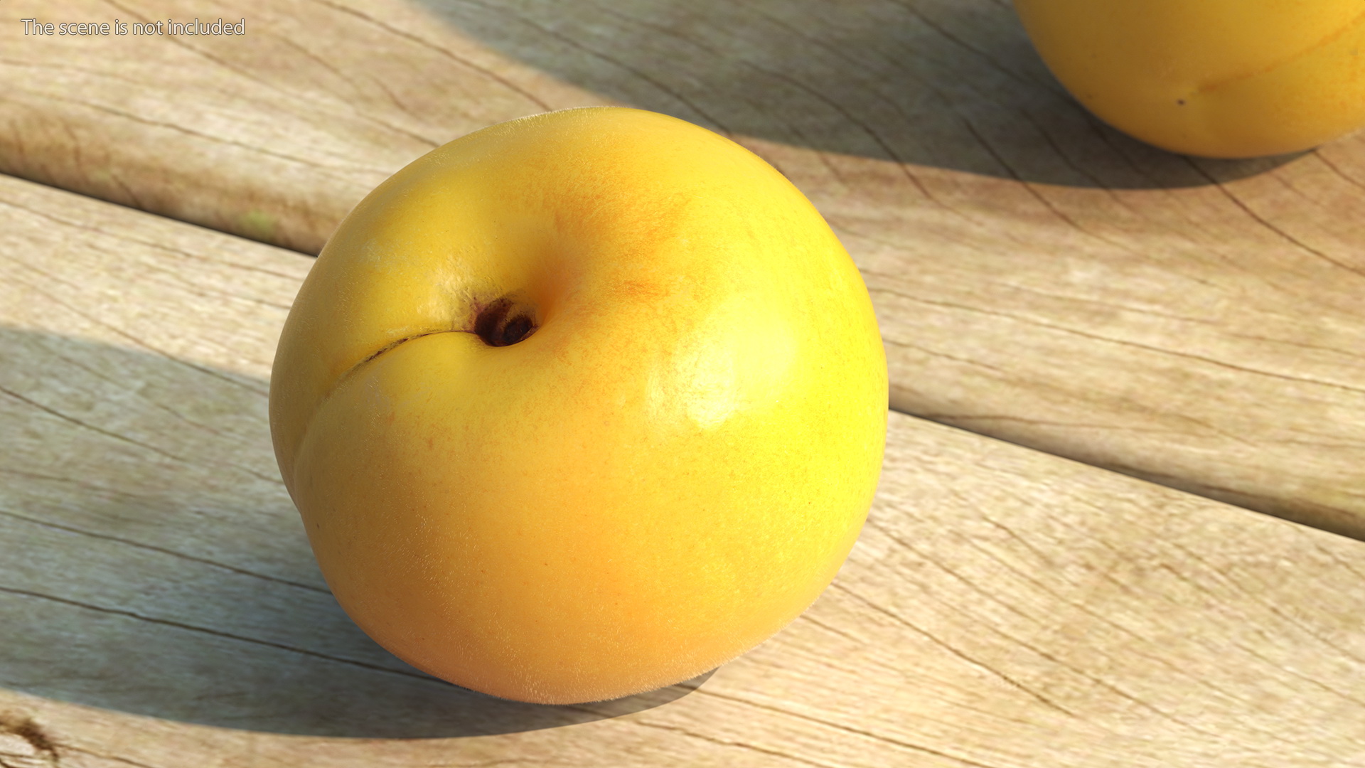 3D Yellow Apricot Fur model