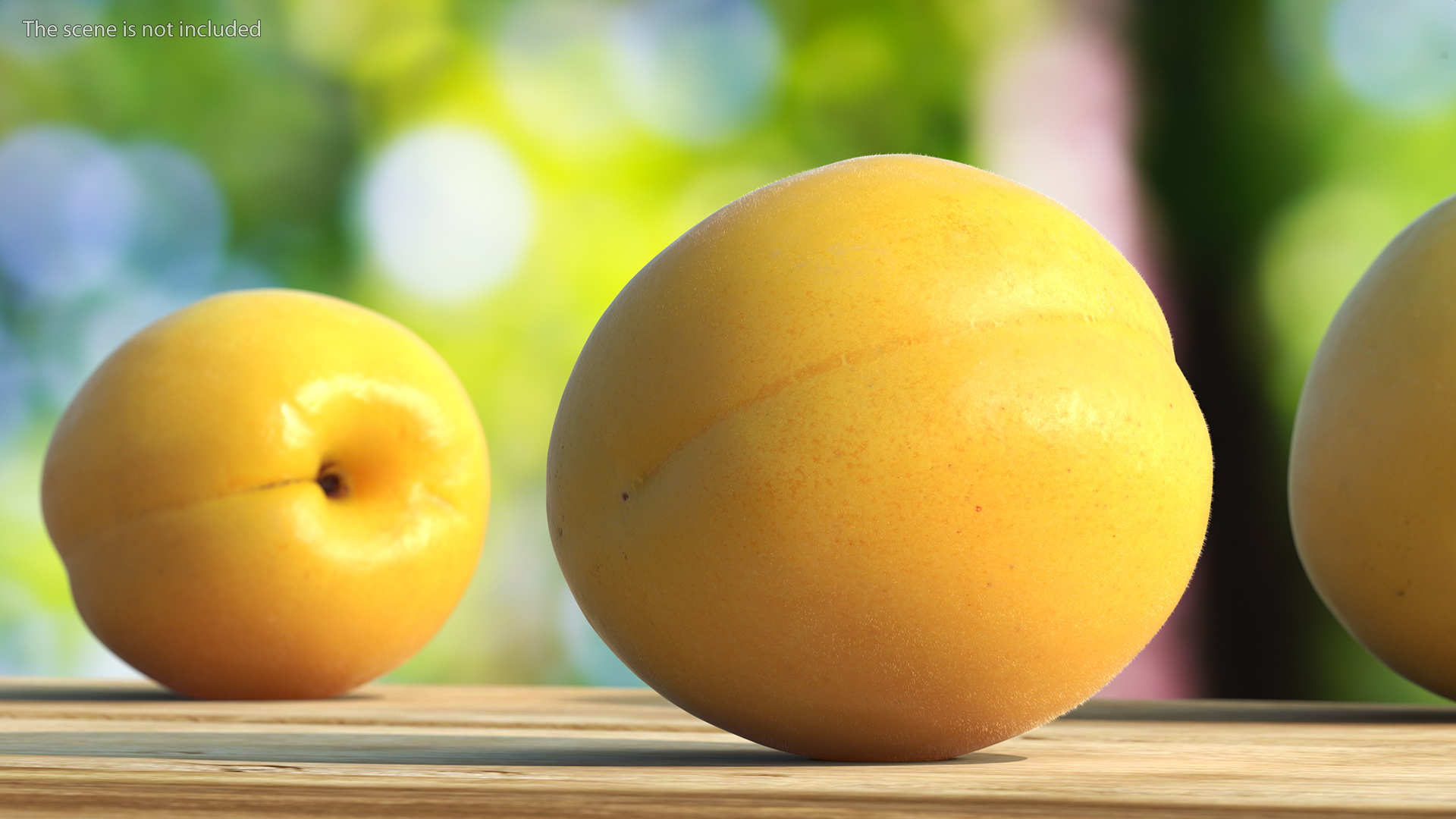 3D Yellow Apricot Fur model