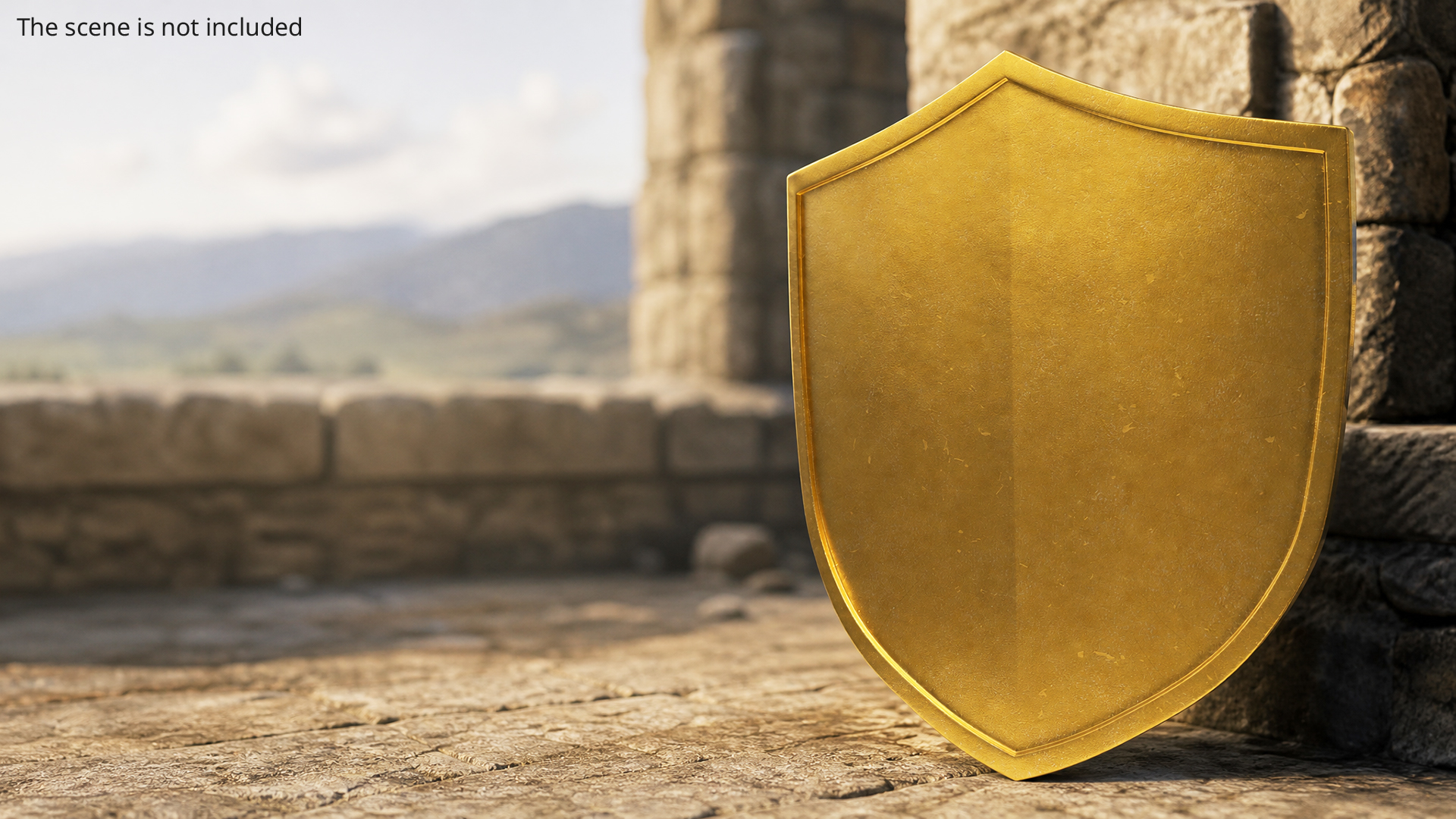 Heraldic Shield Set, view 2