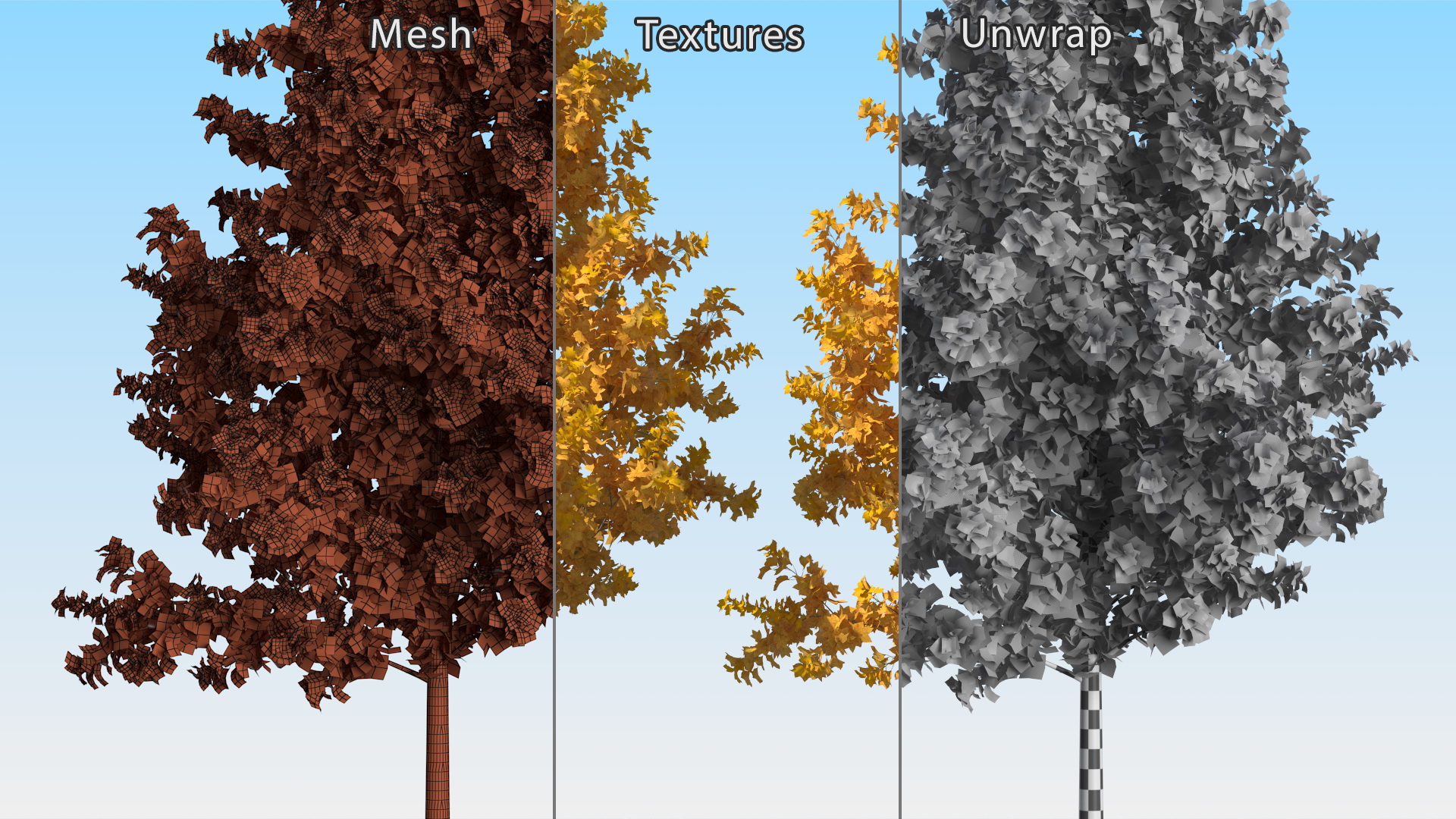 3D model Autumn Yellow Poplar Tree