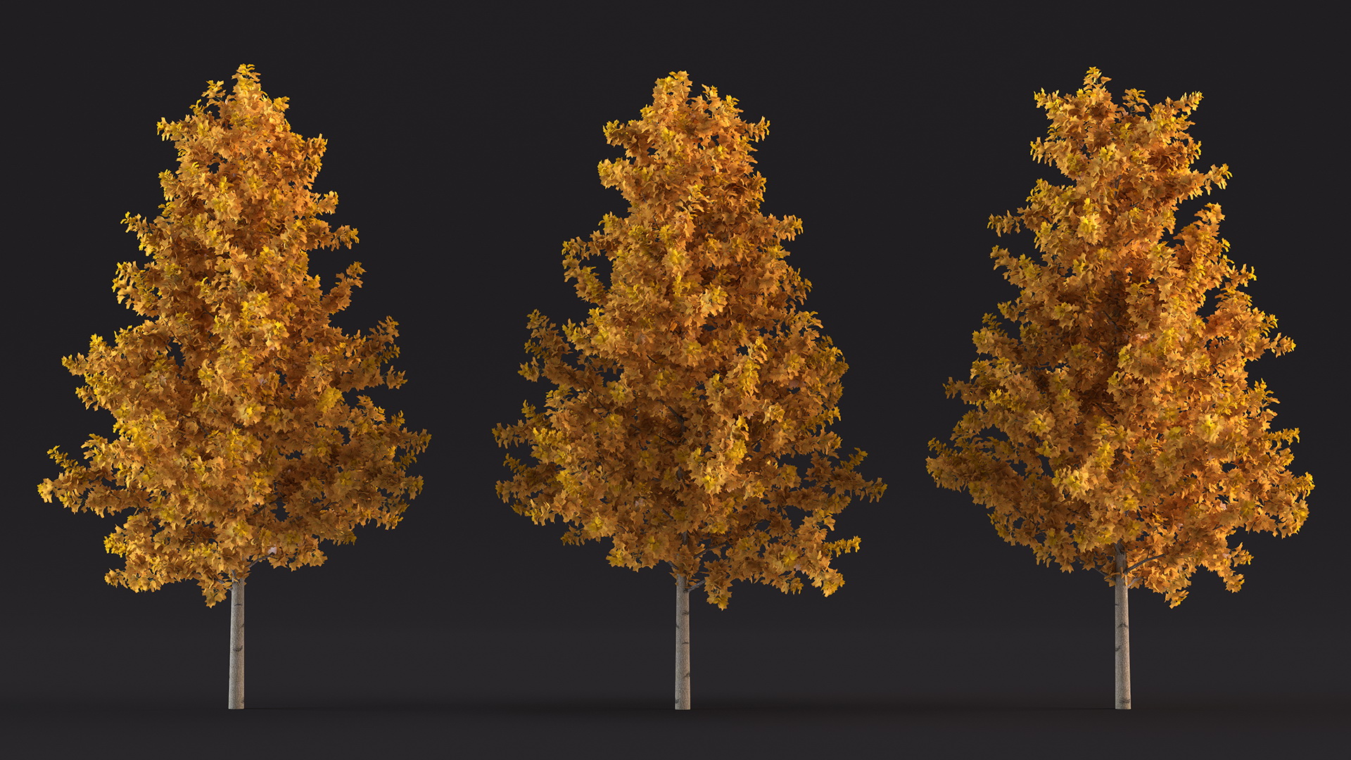 3D model Autumn Yellow Poplar Tree