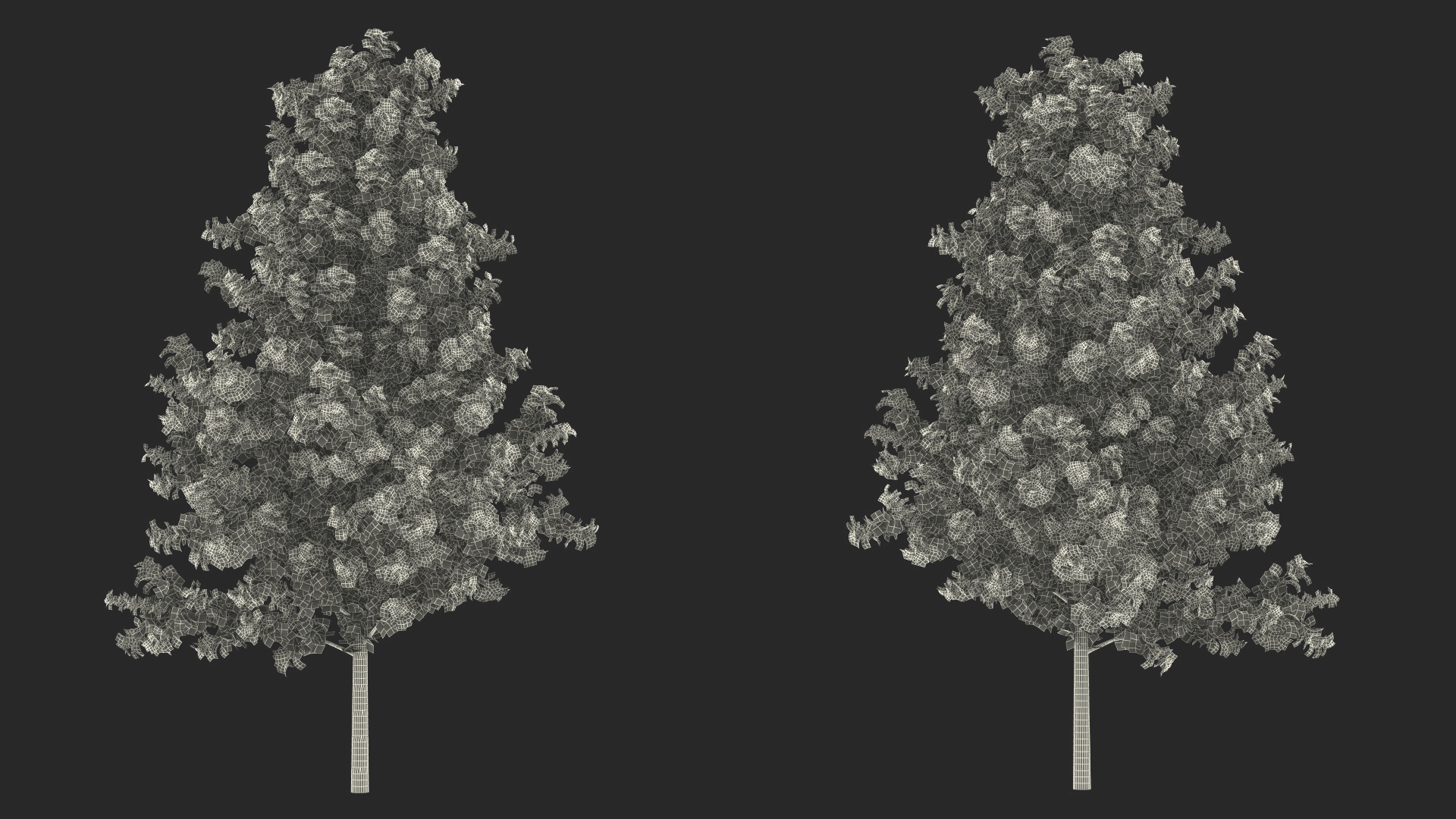 3D model Autumn Yellow Poplar Tree