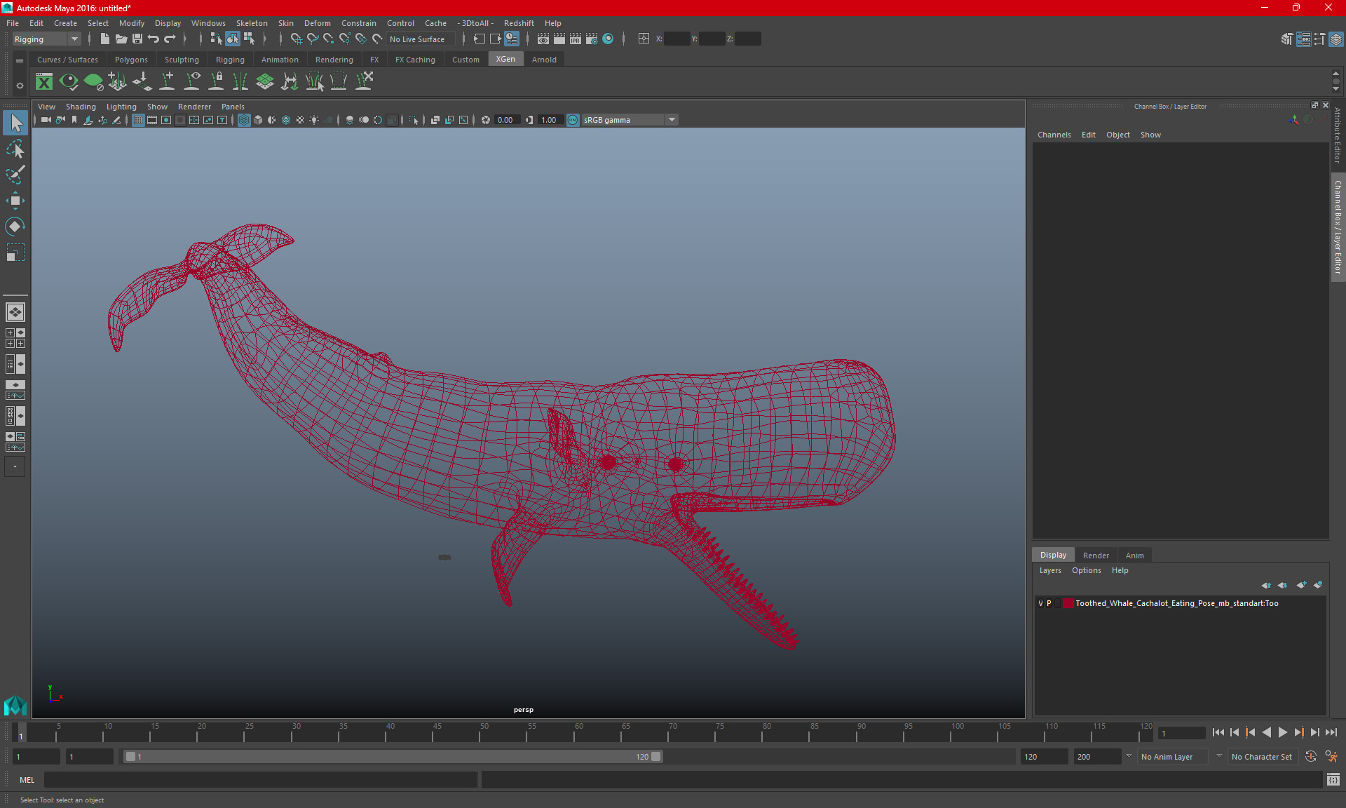 Toothed Whale Cachalot Eating Pose 3D model