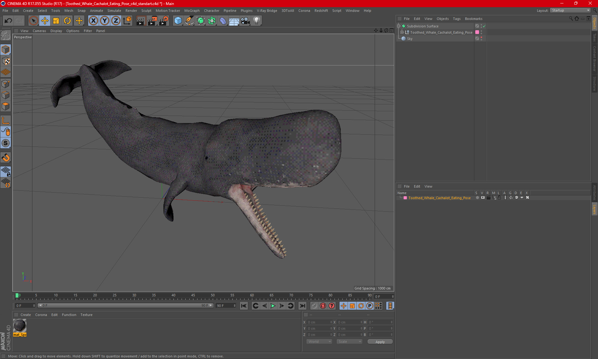 Toothed Whale Cachalot Eating Pose 3D model