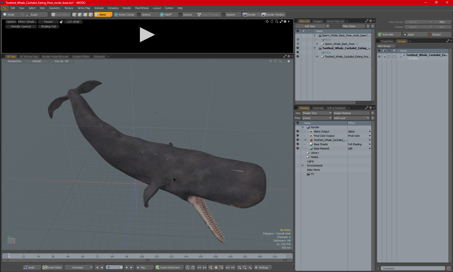 Toothed Whale Cachalot Eating Pose 3D model