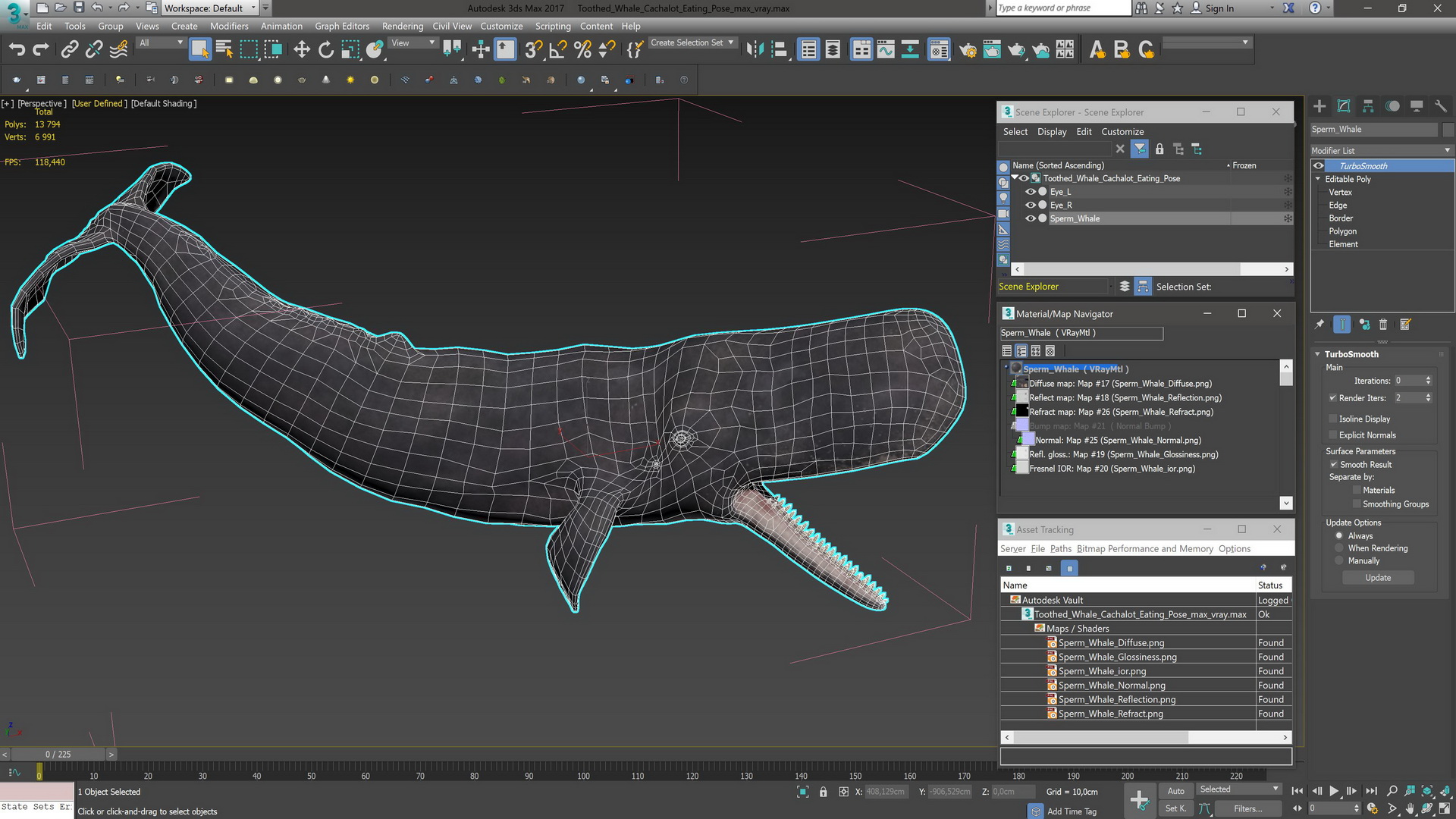 Toothed Whale Cachalot Eating Pose 3D model