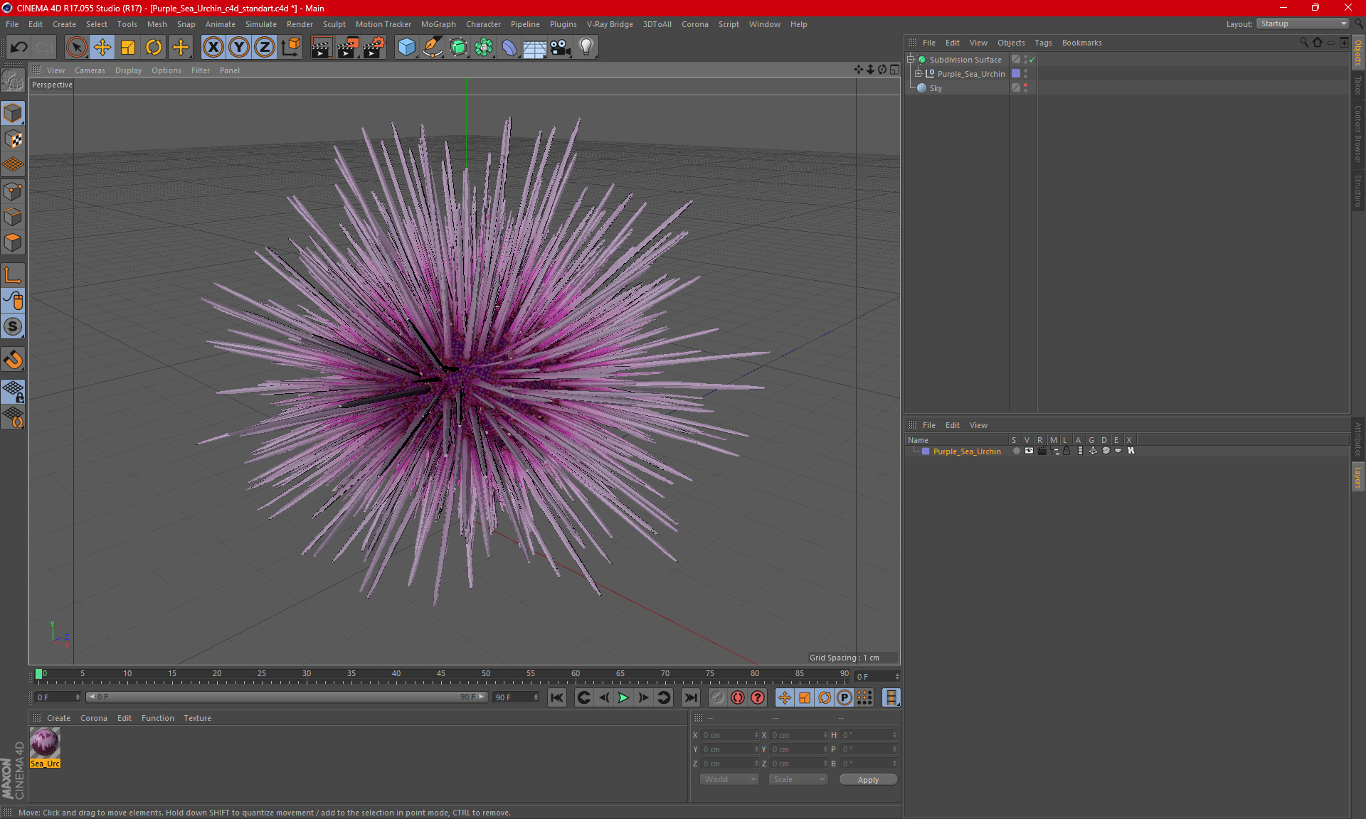 Purple Sea Urchin 3D