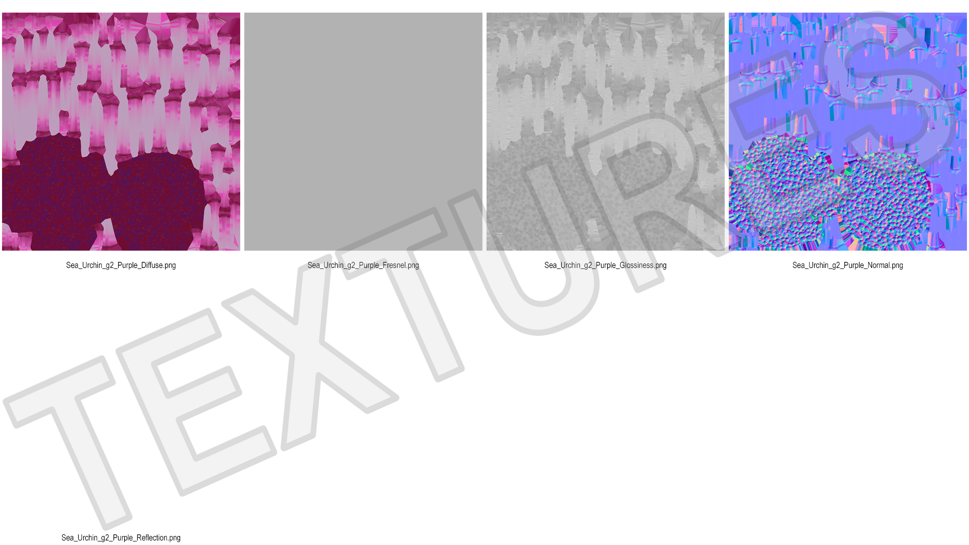Purple Sea Urchin 3D