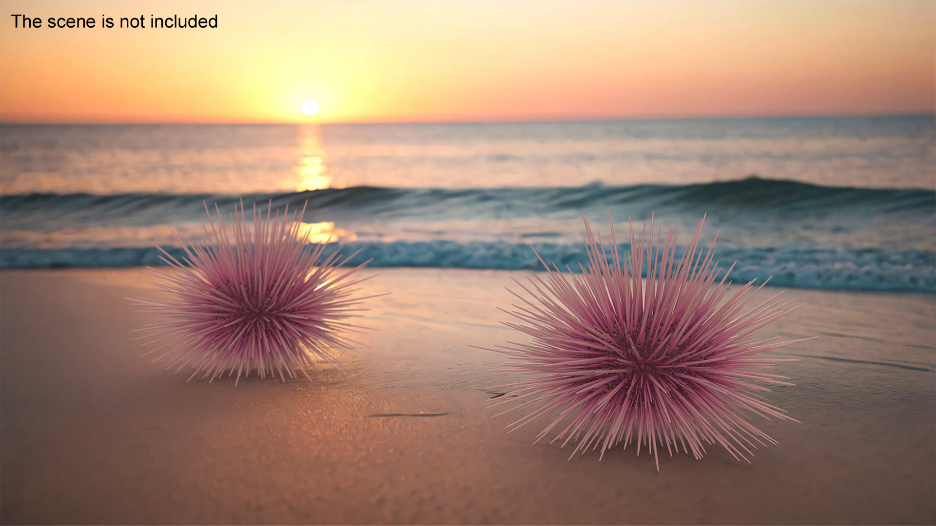 Purple Sea Urchin 3D