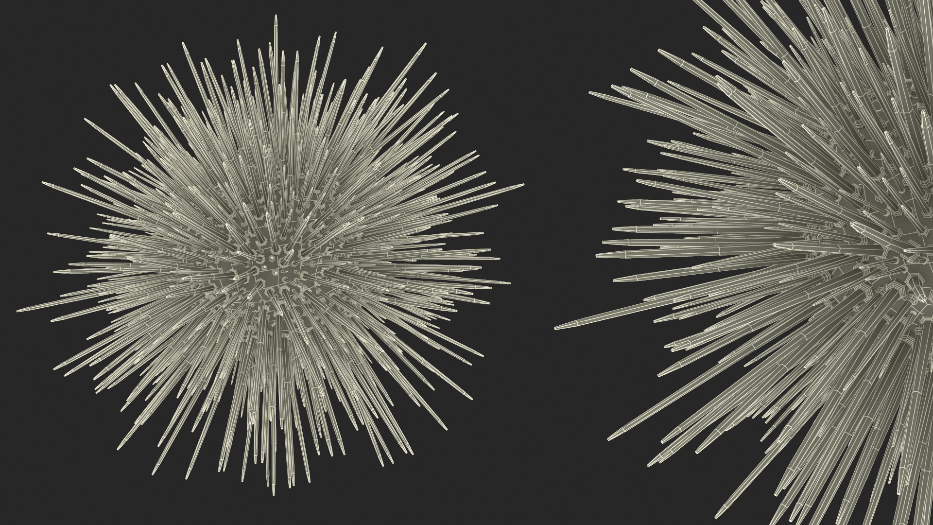 Purple Sea Urchin 3D