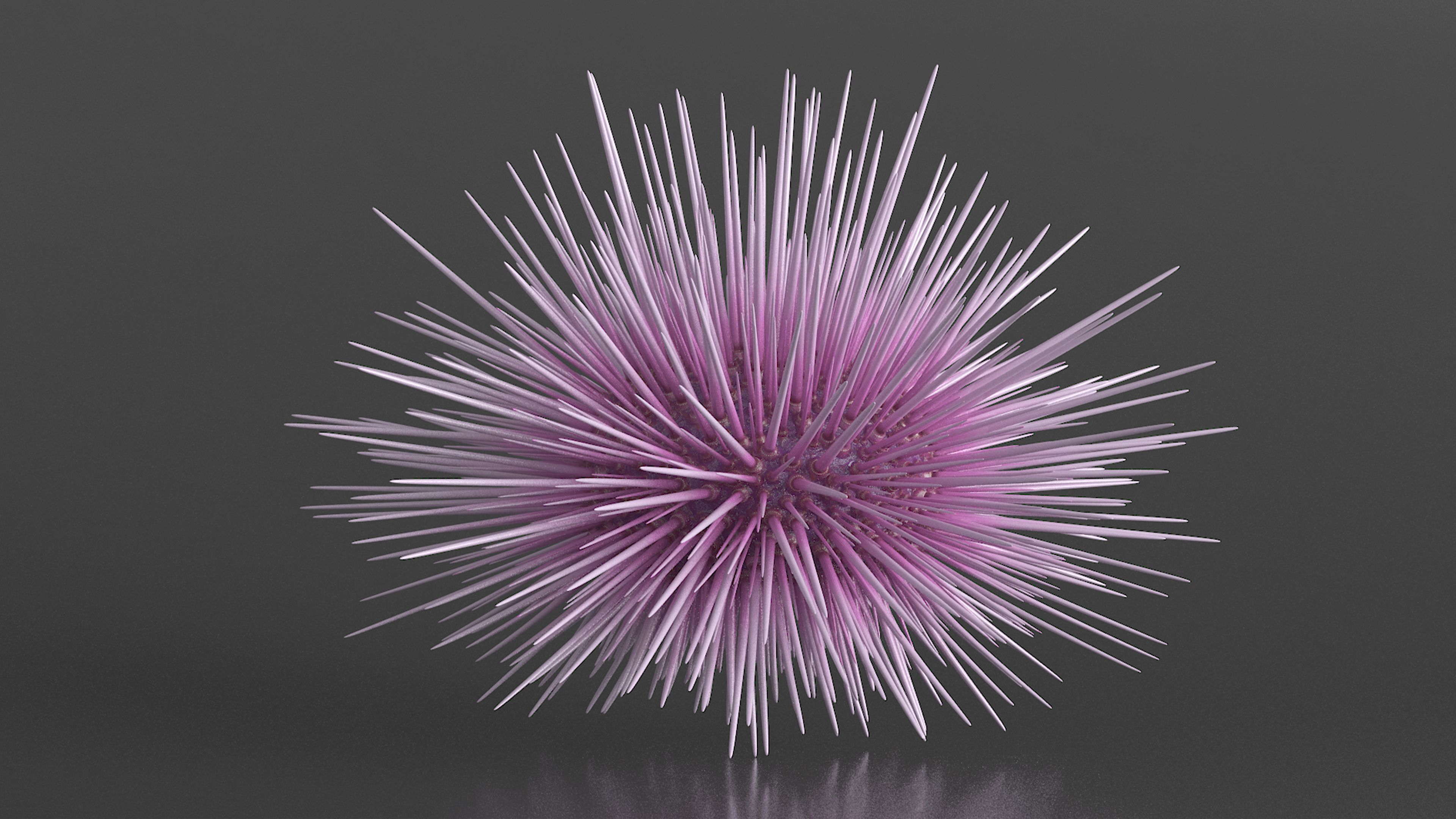 Purple Sea Urchin 3D