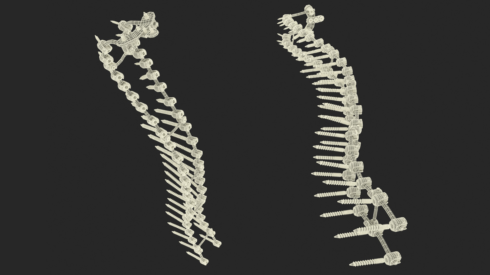 Spine Fixation System Colored 3D model