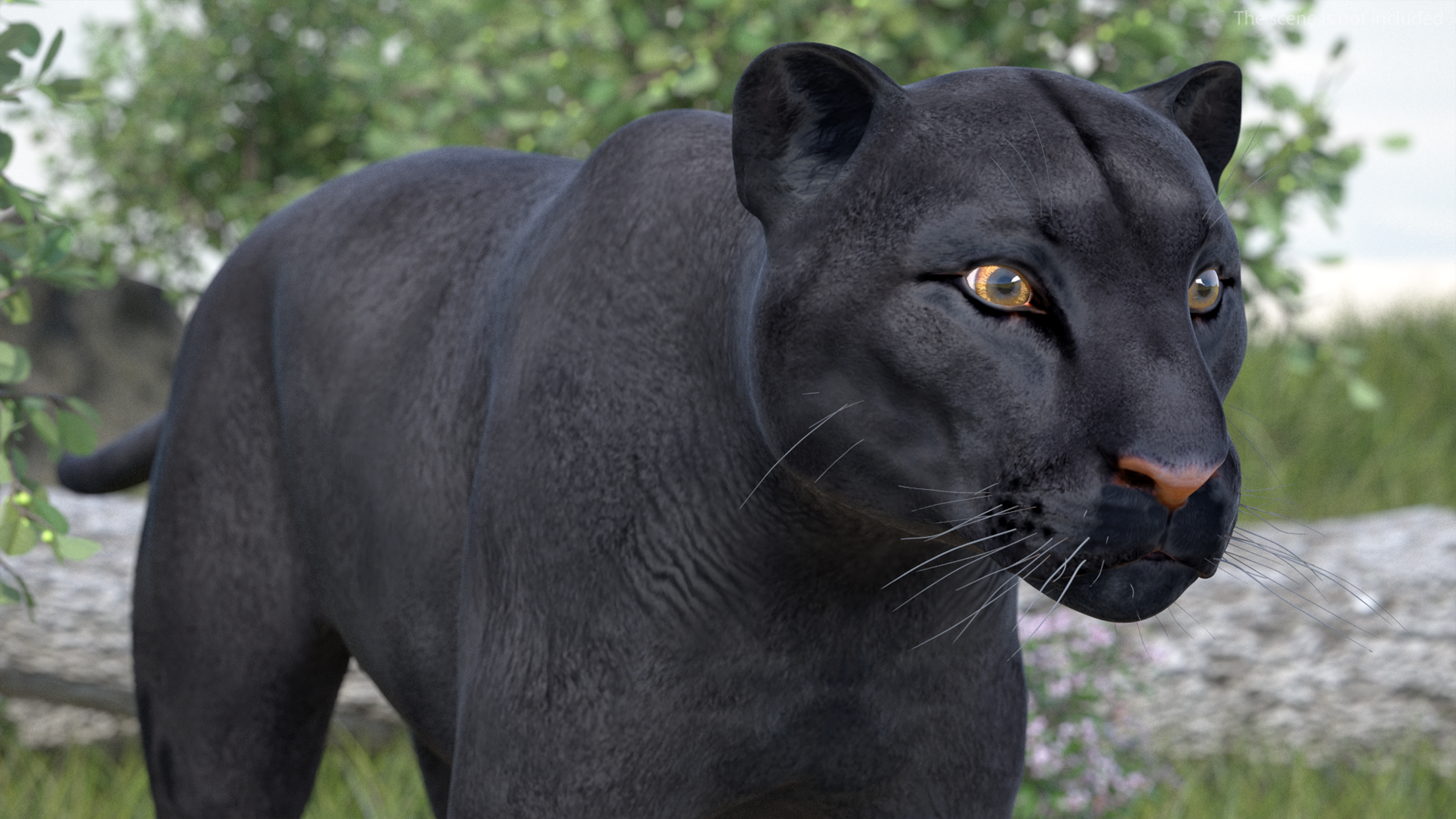Black Panther Rigged for Cinema 4D 3D model