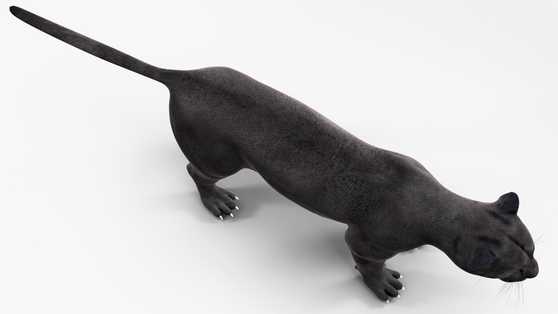 Black Panther Rigged for Cinema 4D 3D model