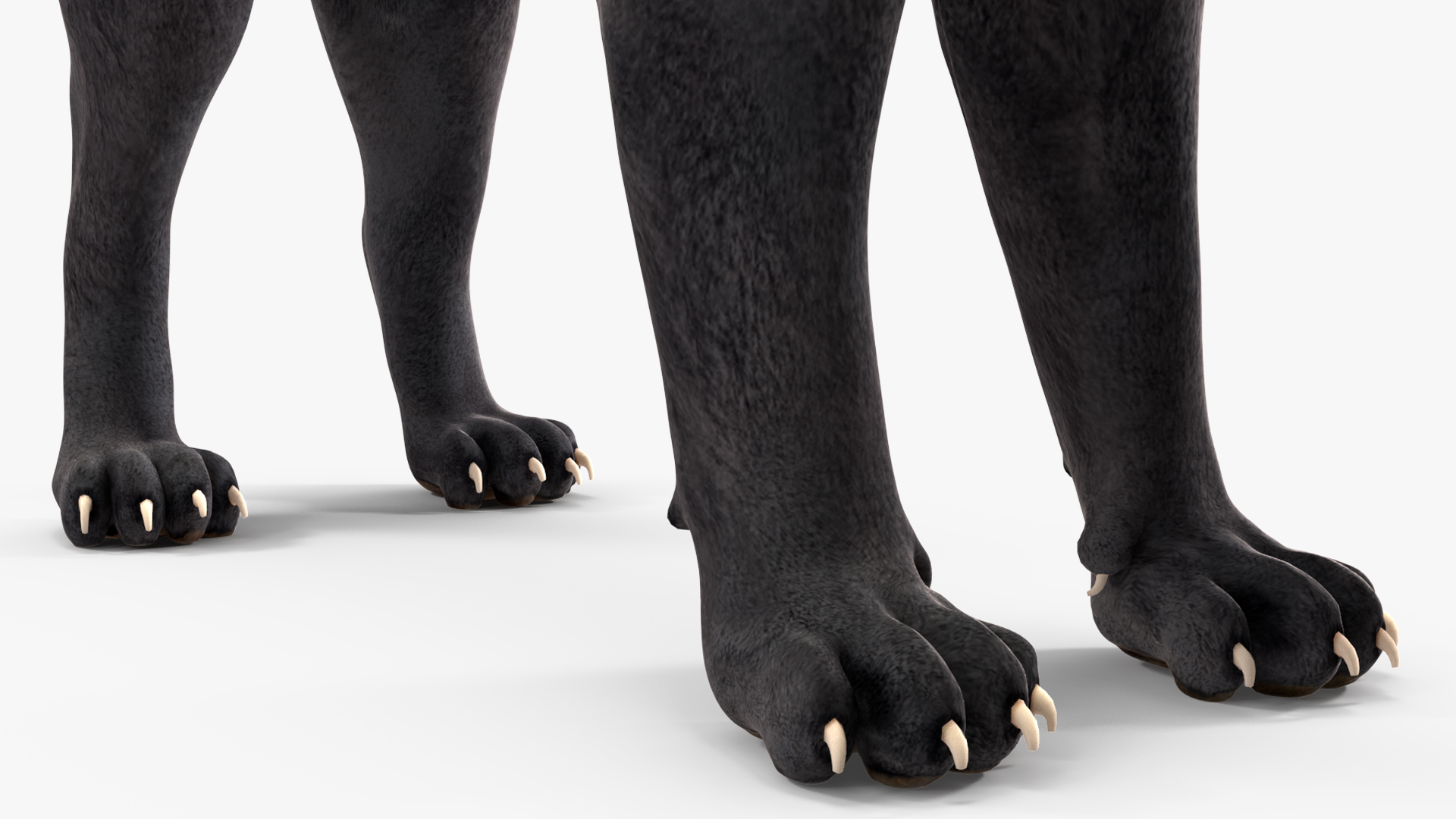 Black Panther Rigged for Cinema 4D 3D model