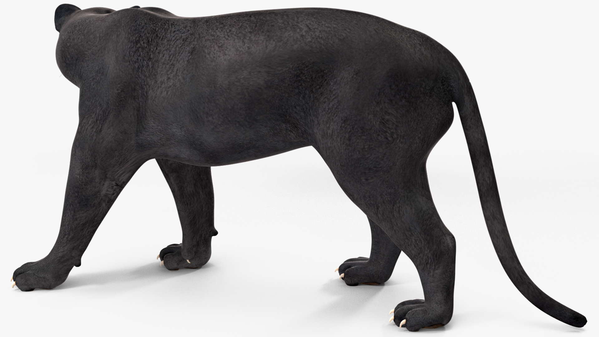 Black Panther Rigged for Cinema 4D 3D model