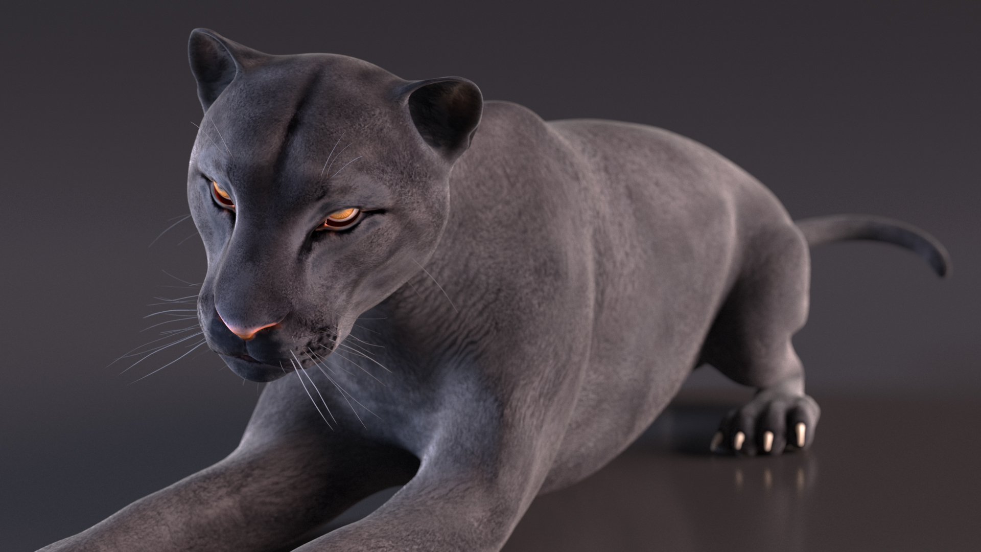 Black Panther Rigged for Cinema 4D 3D model