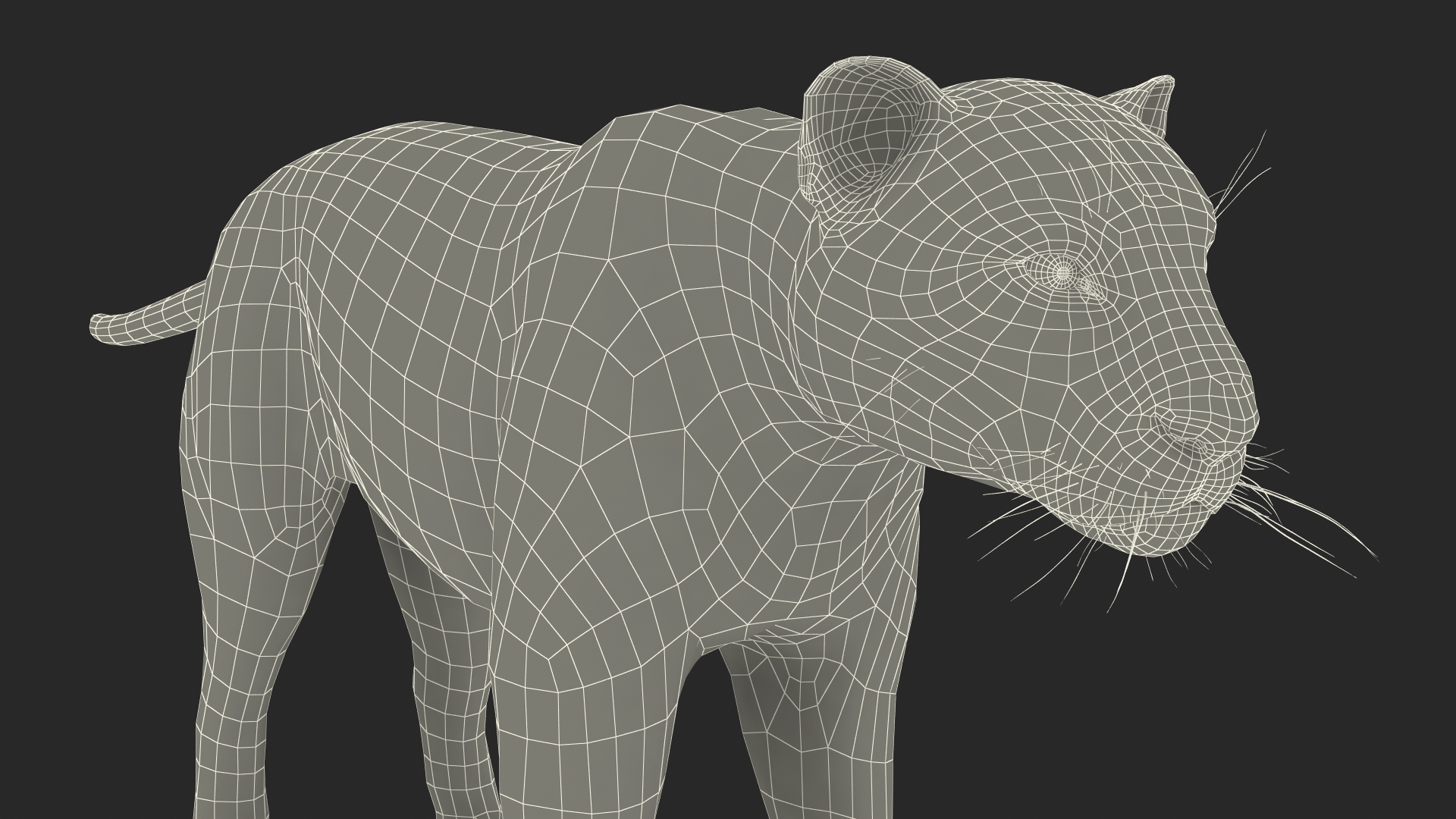 Black Panther Rigged for Cinema 4D 3D model