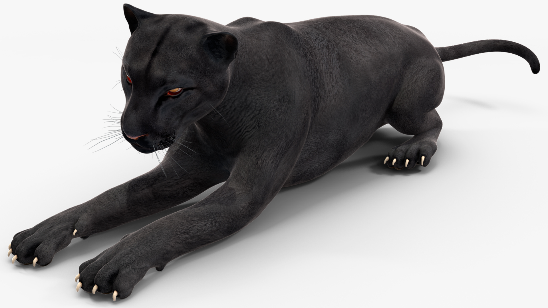 Black Panther Rigged for Cinema 4D 3D model