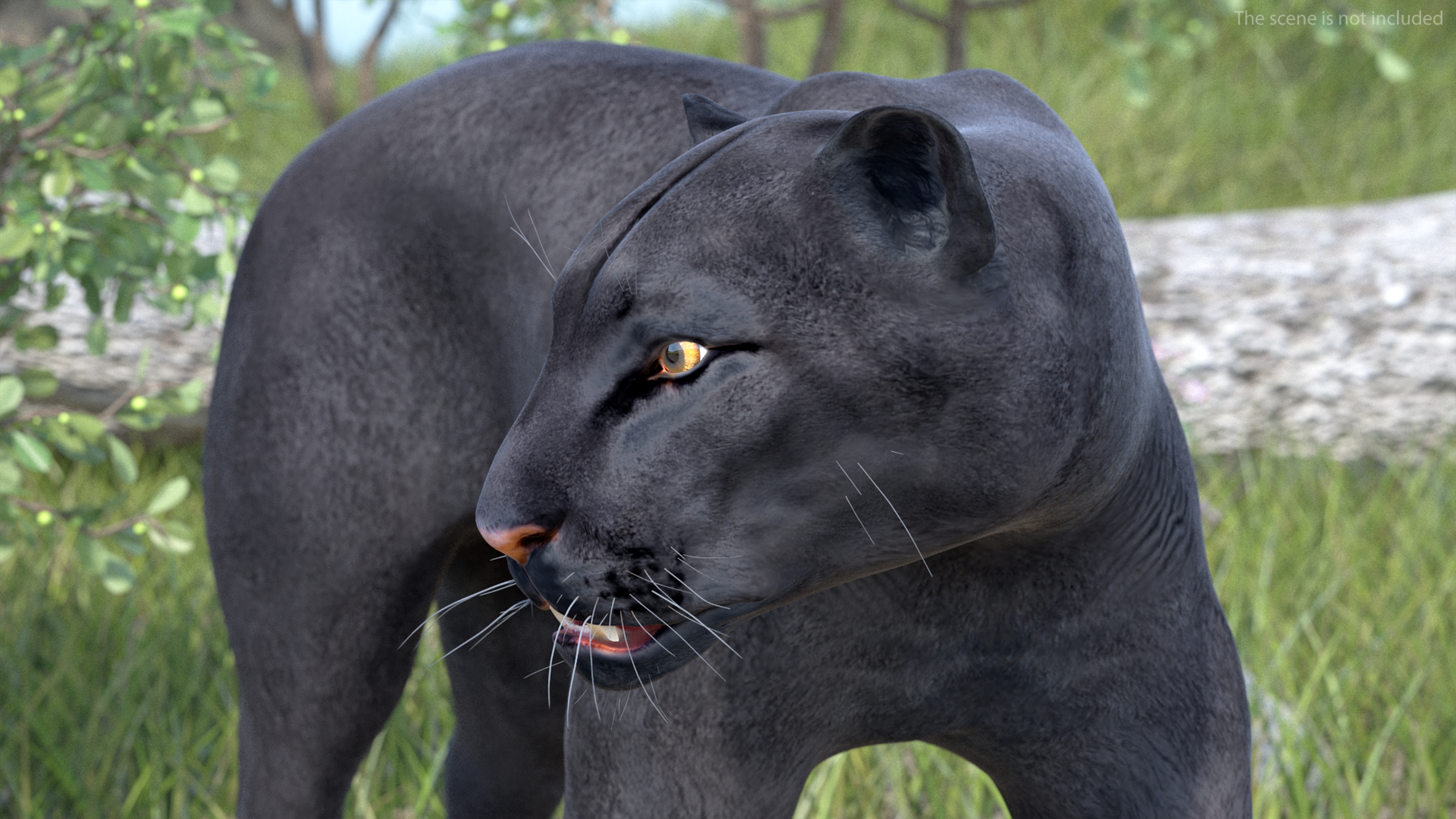 Black Panther Rigged for Cinema 4D 3D model