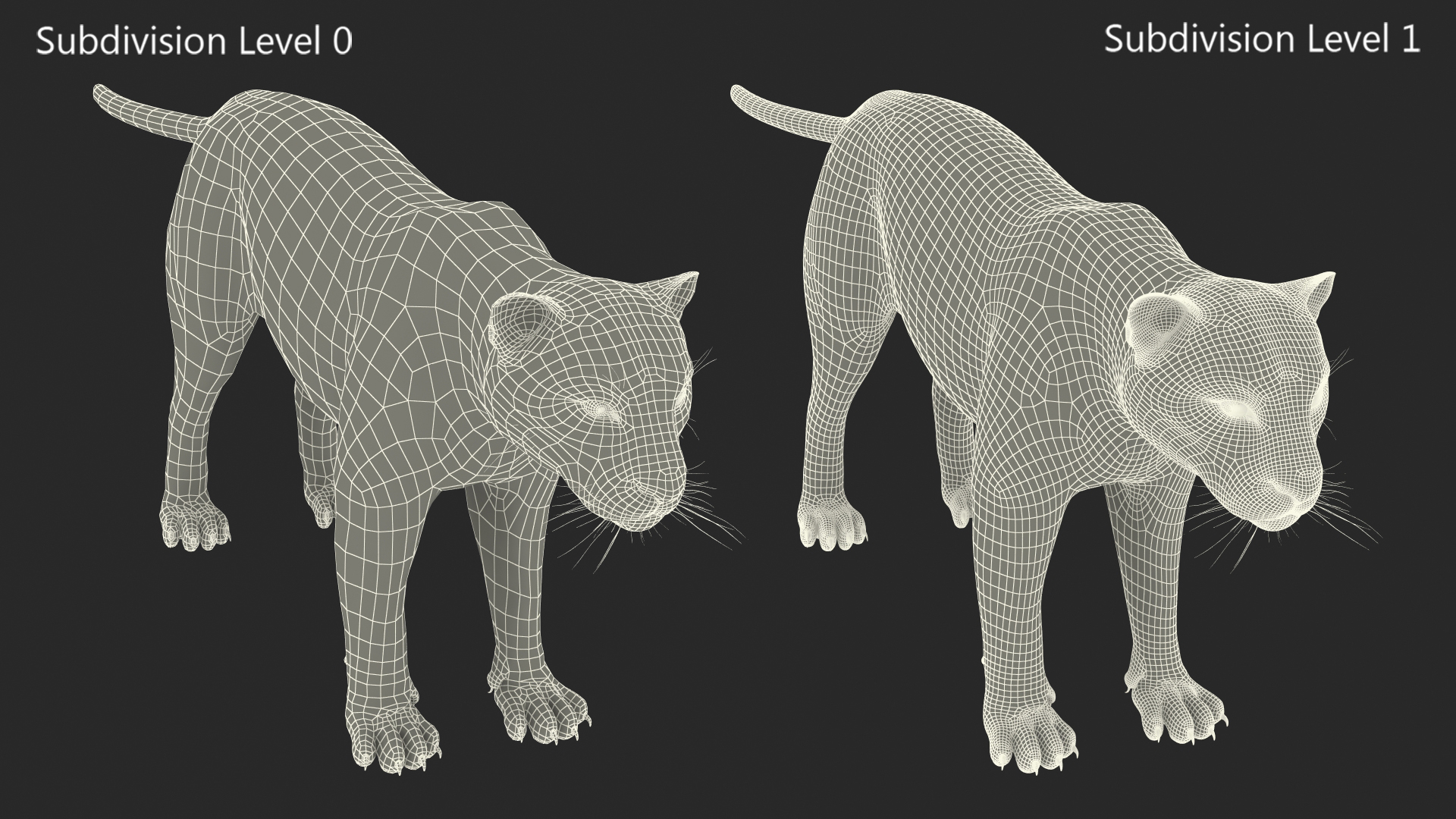 Black Panther Rigged for Cinema 4D 3D model