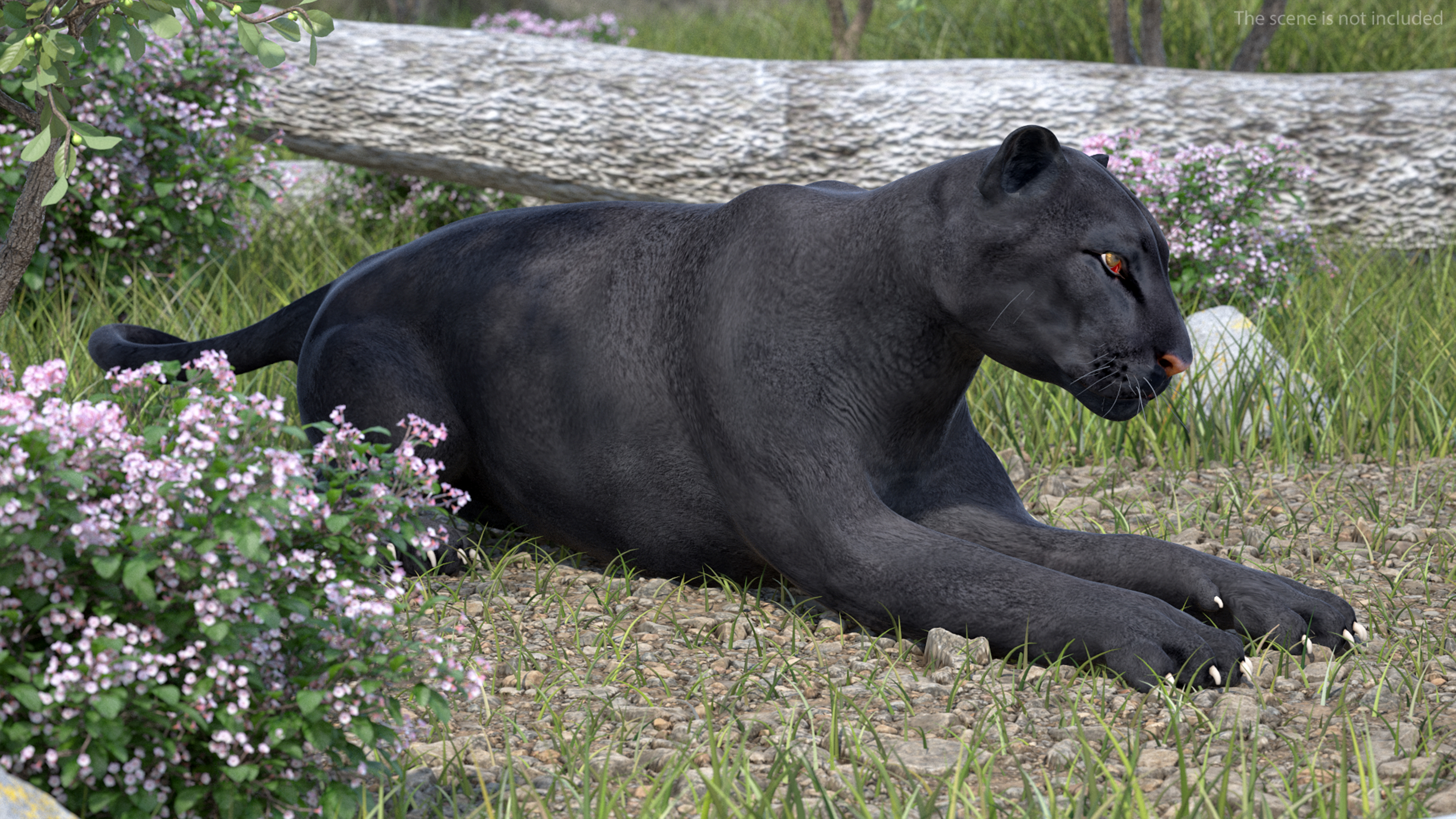 Black Panther Rigged for Cinema 4D 3D model