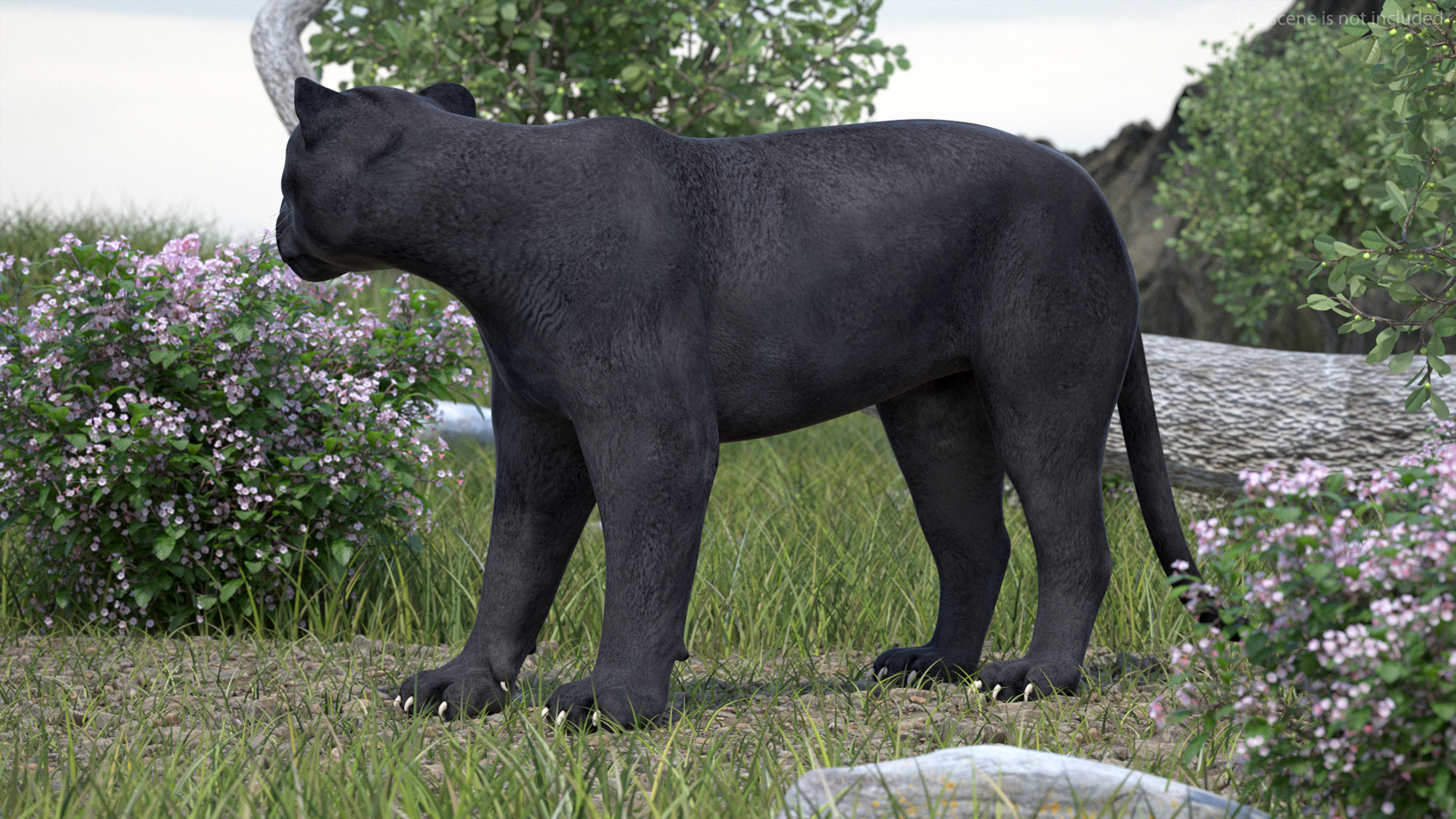Black Panther Rigged for Cinema 4D 3D model