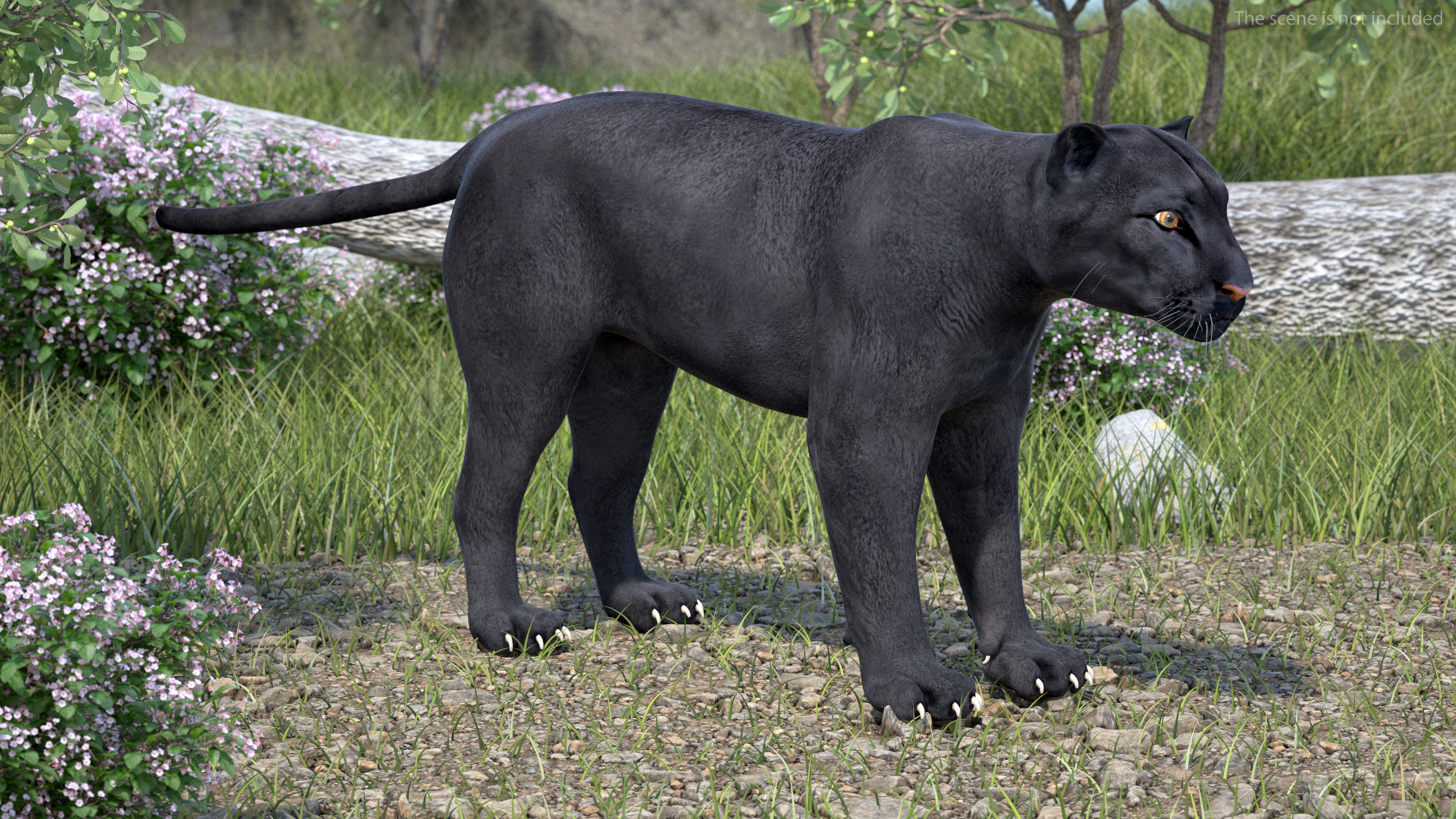 Black Panther Rigged for Cinema 4D 3D model
