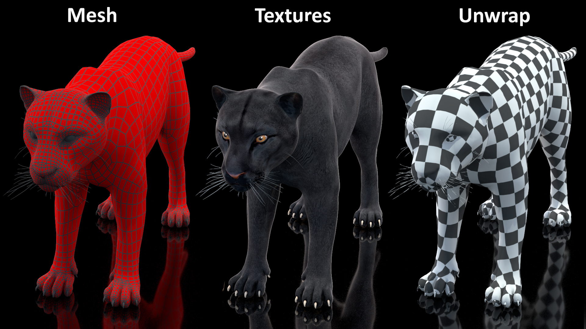 Black Panther Rigged for Cinema 4D 3D model
