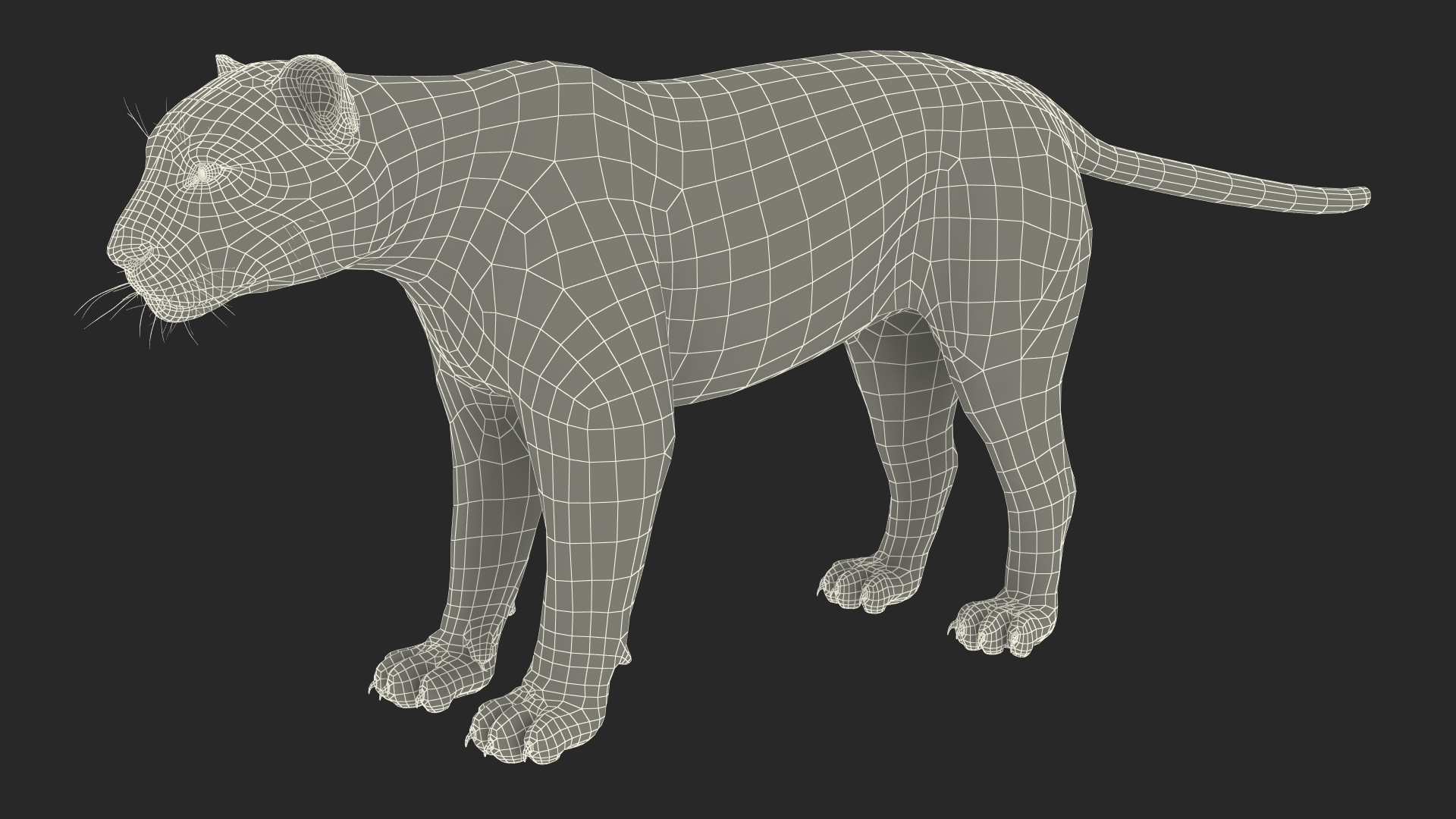 Black Panther Rigged for Cinema 4D 3D model