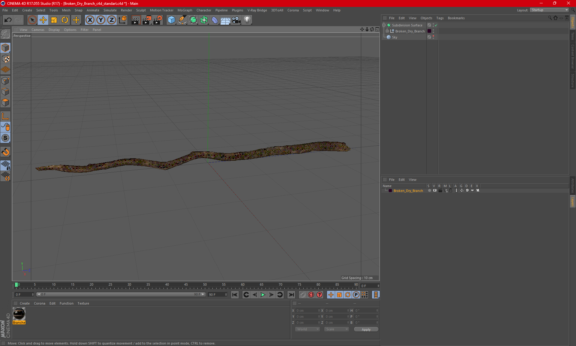 Broken Dry Branch 3D