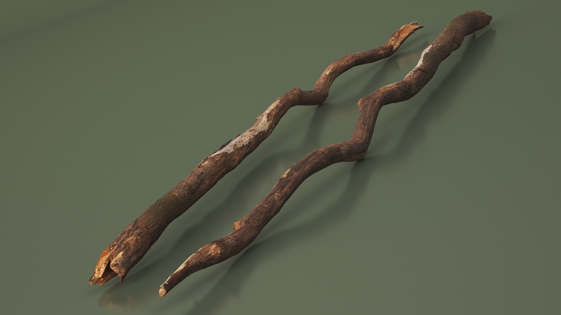 Broken Dry Branch 3D
