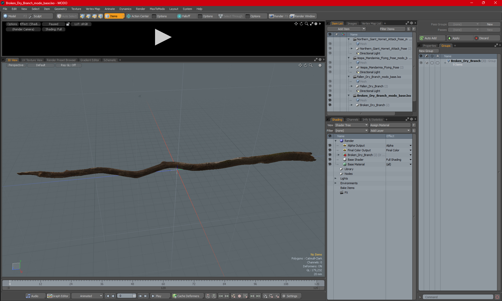Broken Dry Branch 3D
