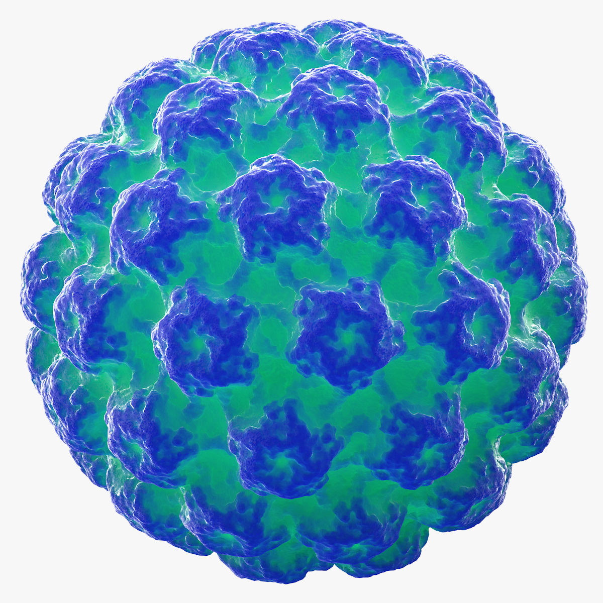 Human Papilloma Virus HPV, view 3