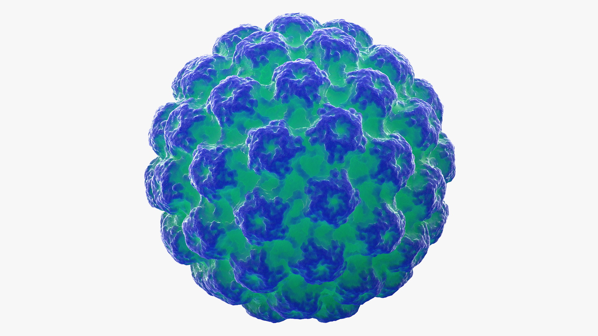 3D model Human Papilloma Virus HPV