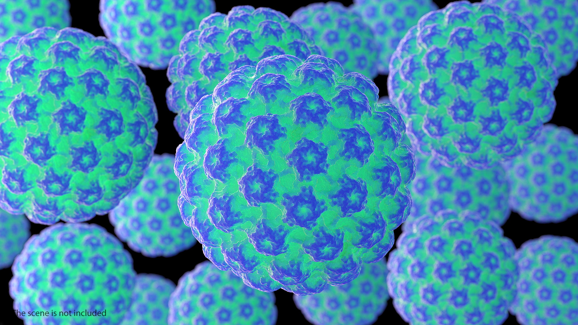 3D model Human Papilloma Virus HPV