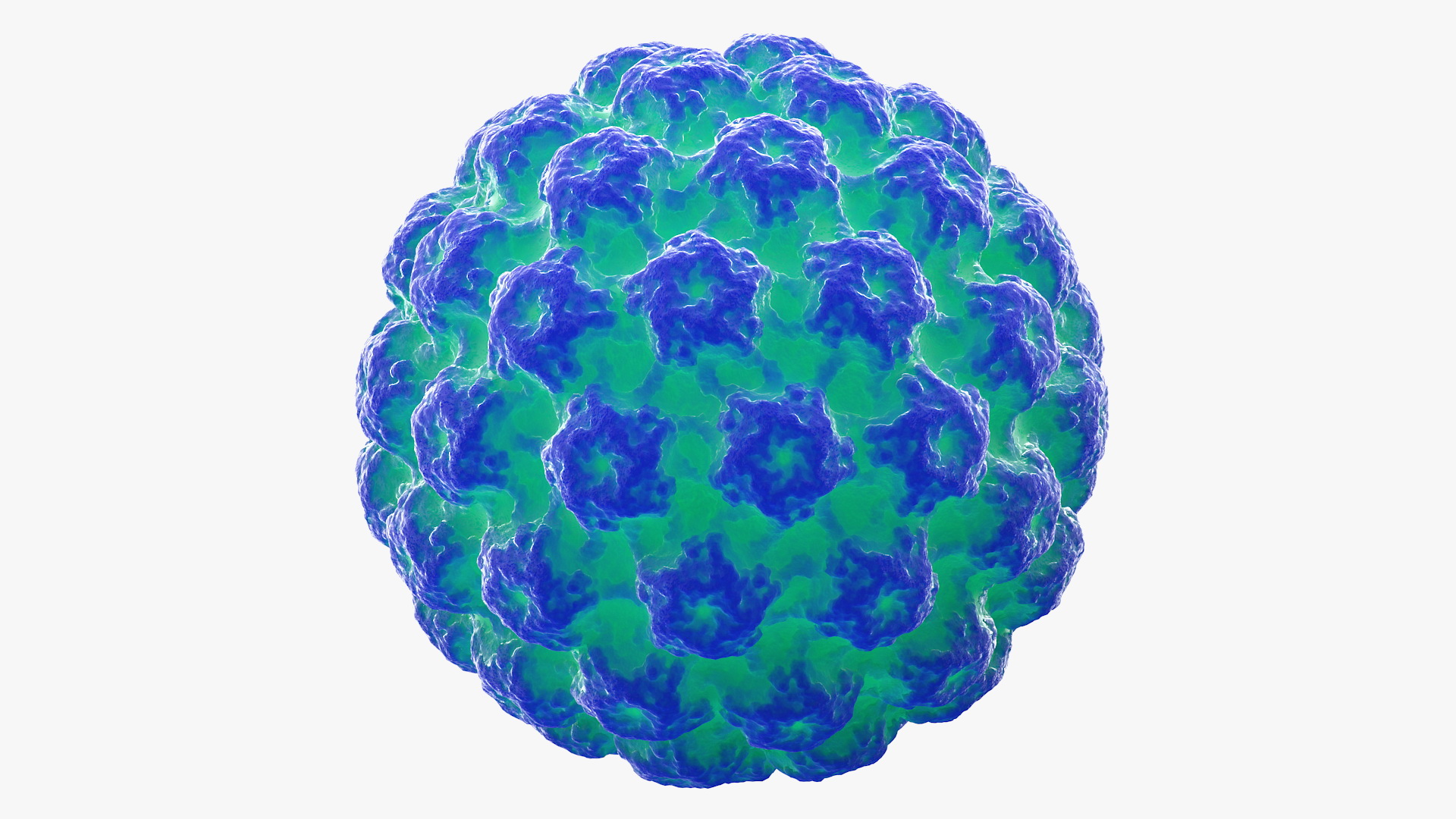 3D model Human Papilloma Virus HPV