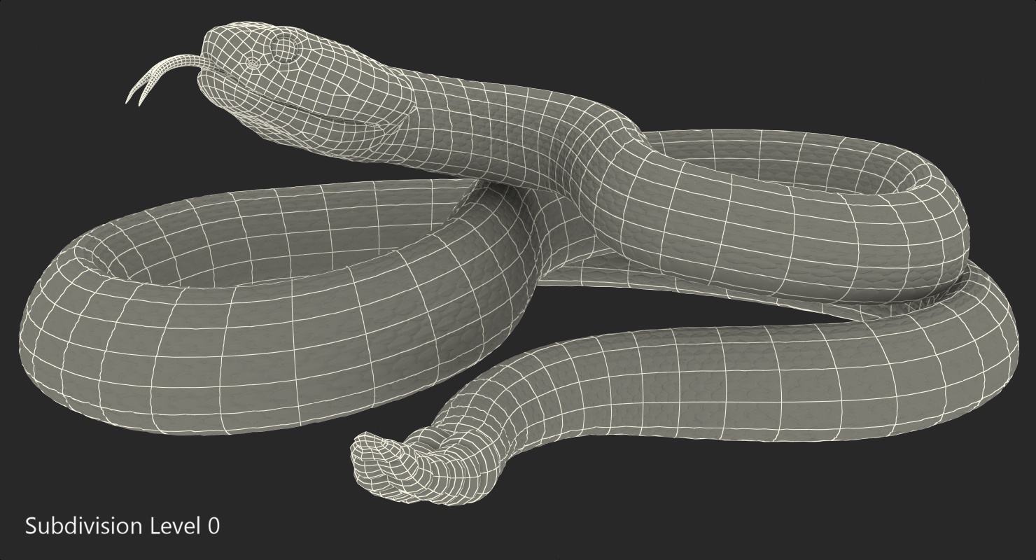 3D Giant Dark Rattlesnake Rigged for Maya model